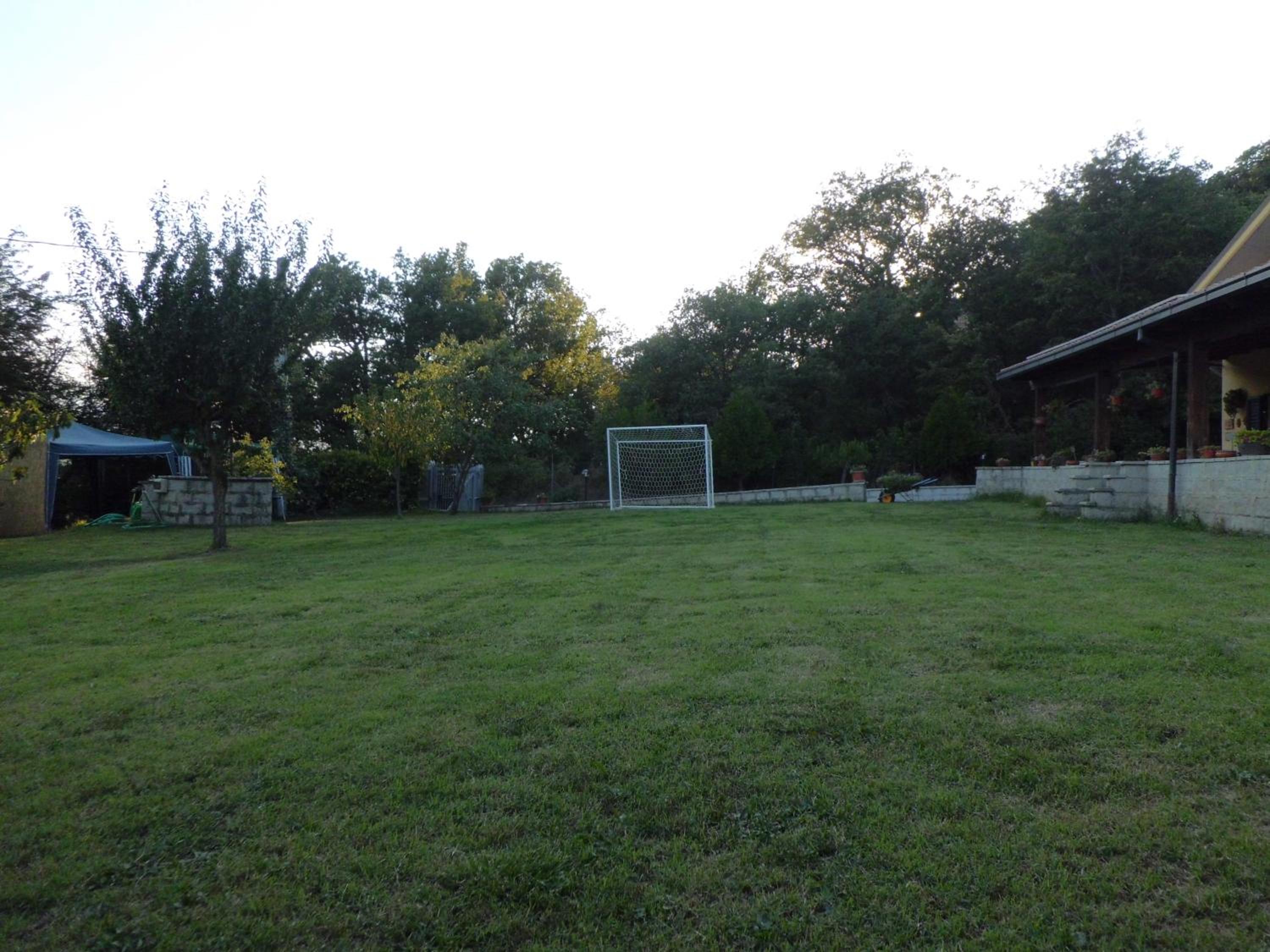 Photo 41