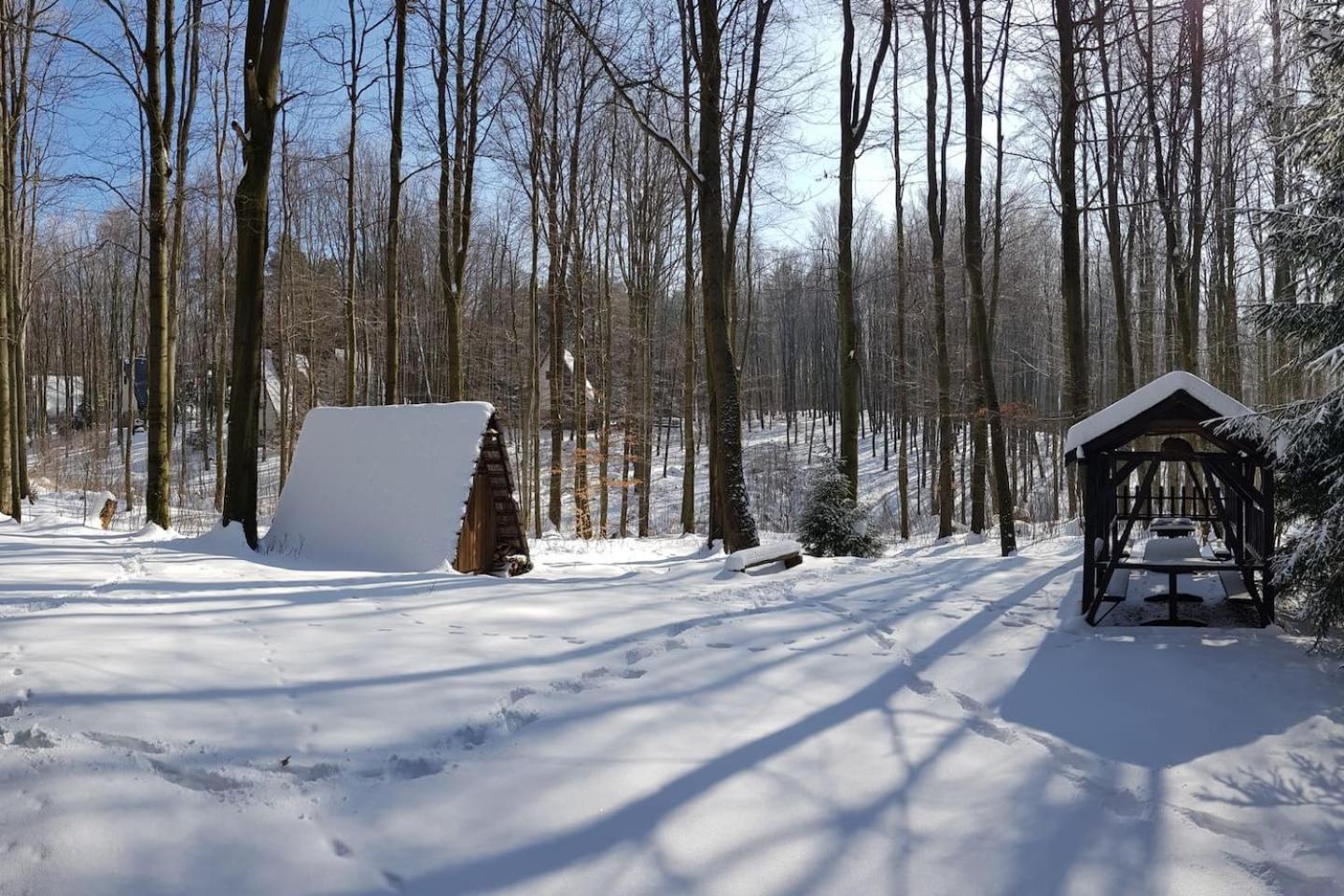 Slovak cottage near Bratislava in the heart of the Carpathians view 3