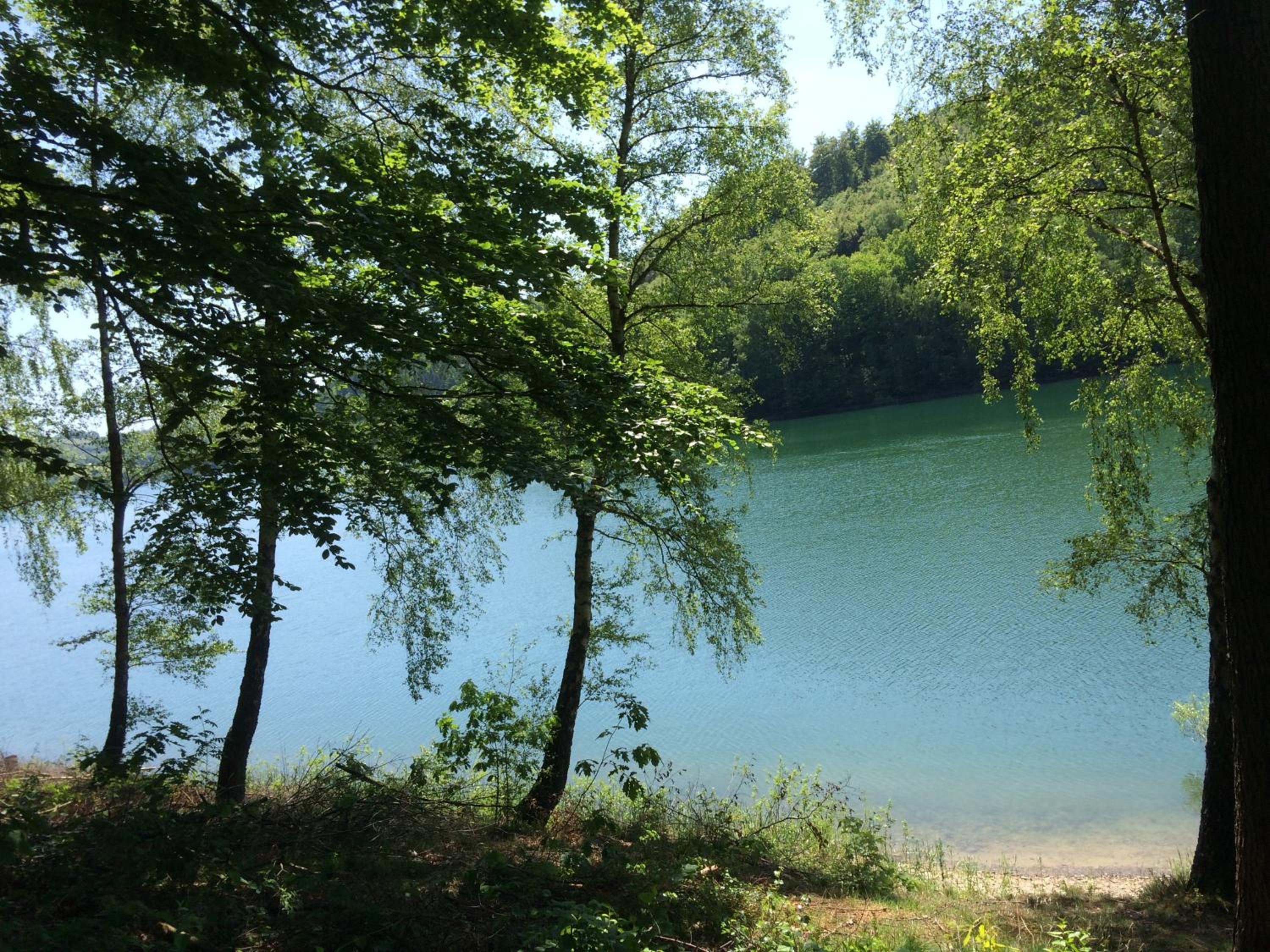 Ortmanns Eulennest