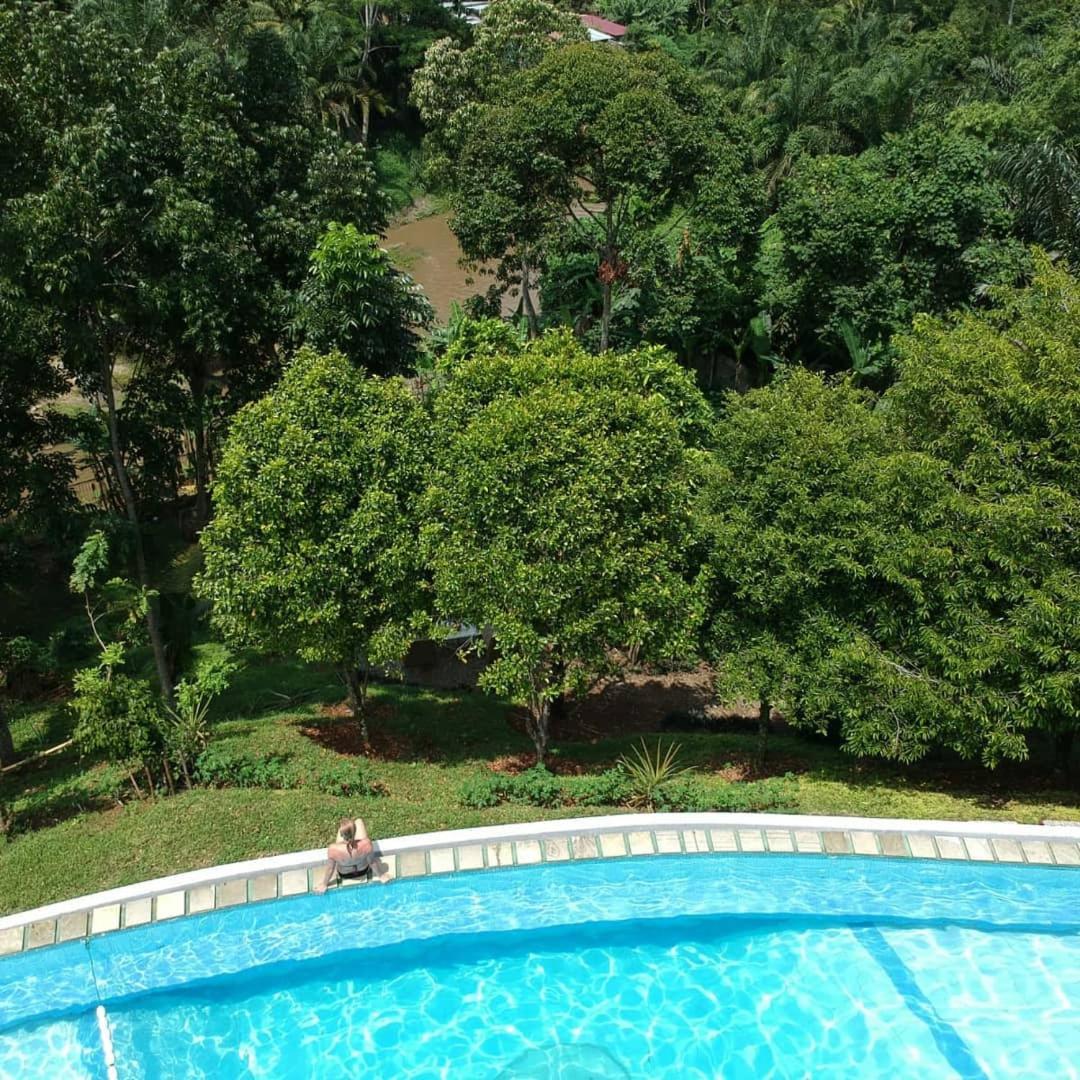 Photo 41