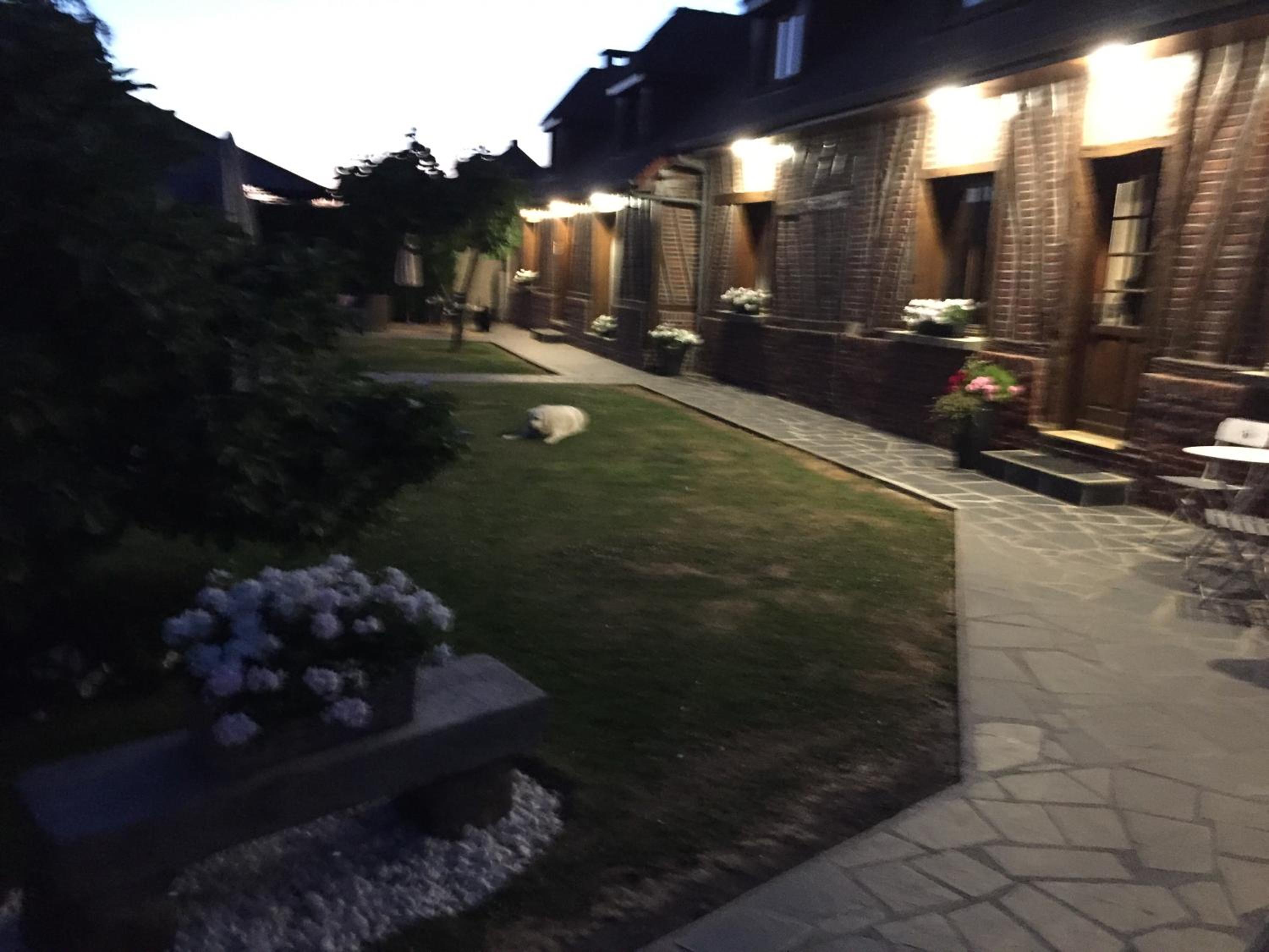 Photo 38