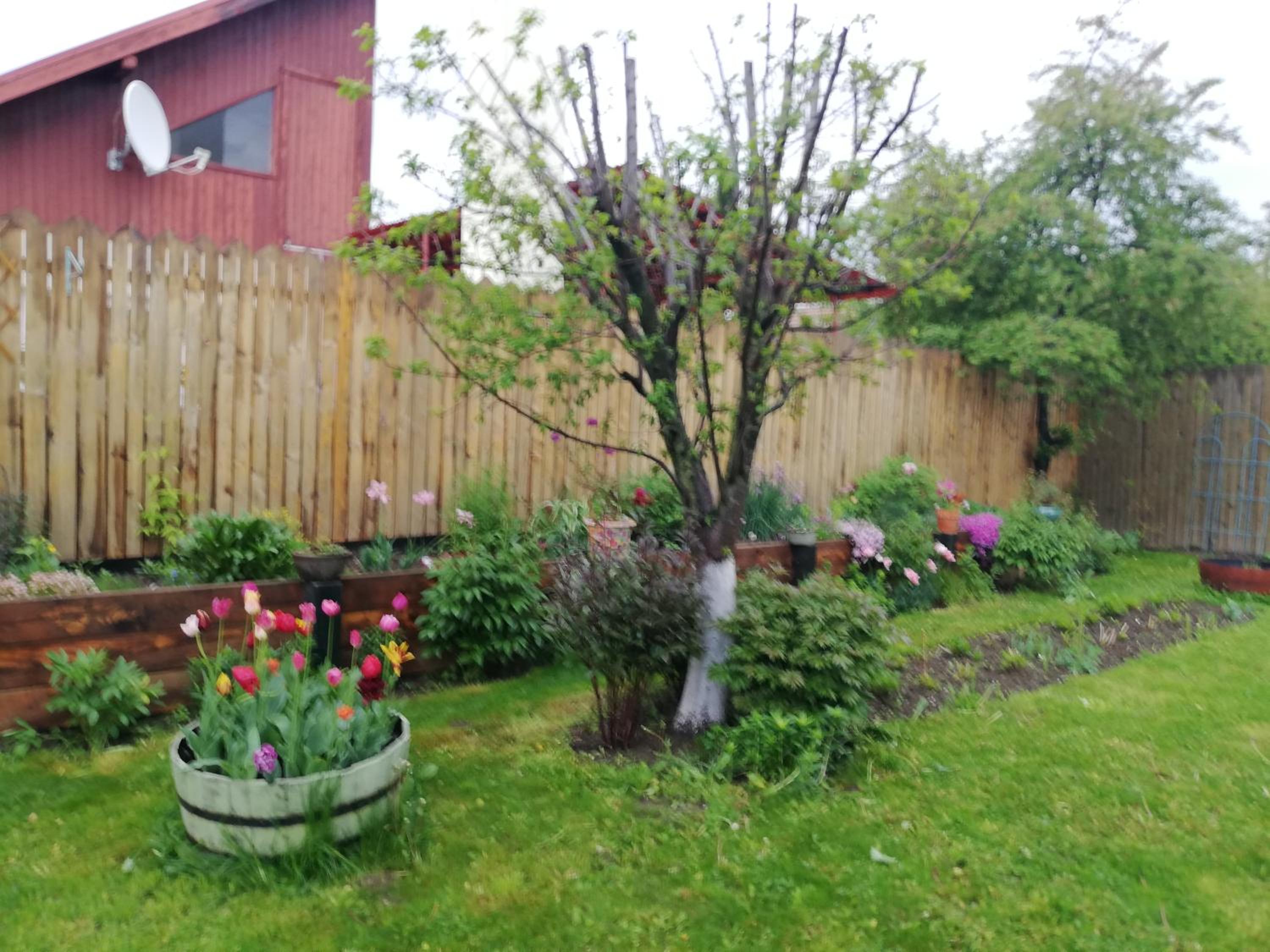 Photo 36