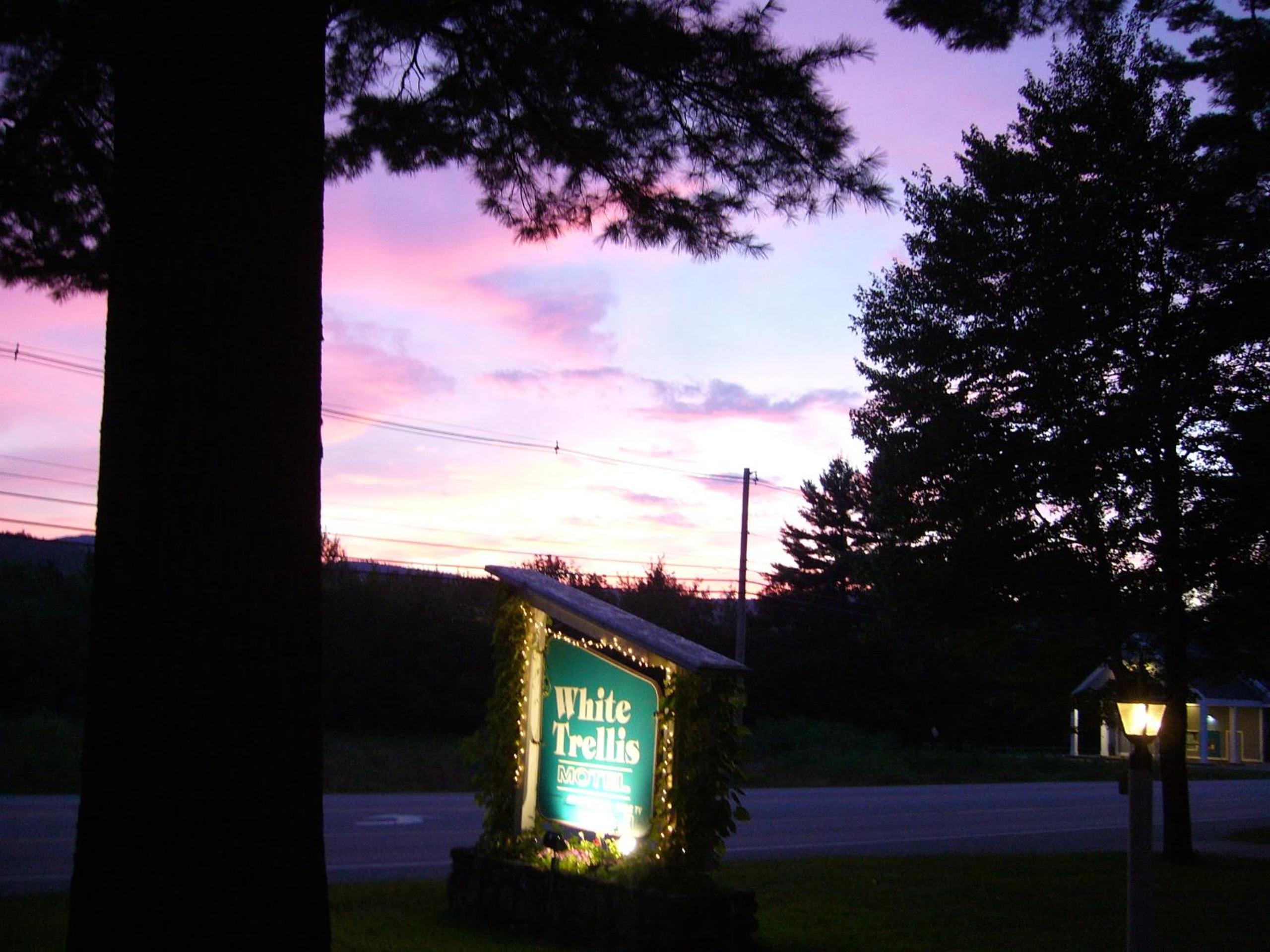 White Trellis Motel