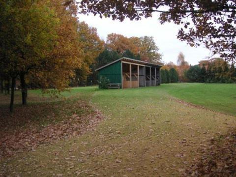 Golfhotel Blaue Ente view 5