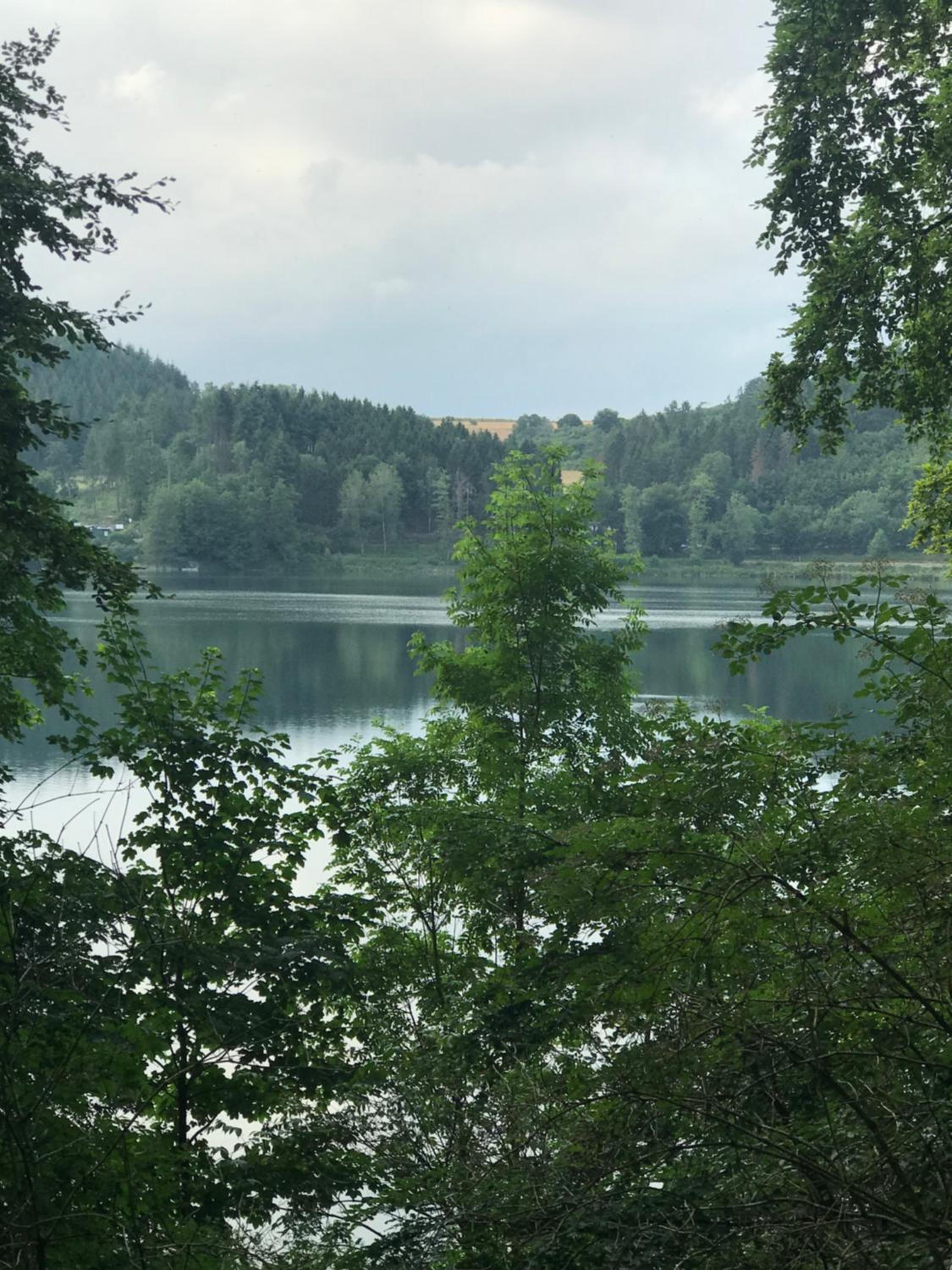 Photo 42