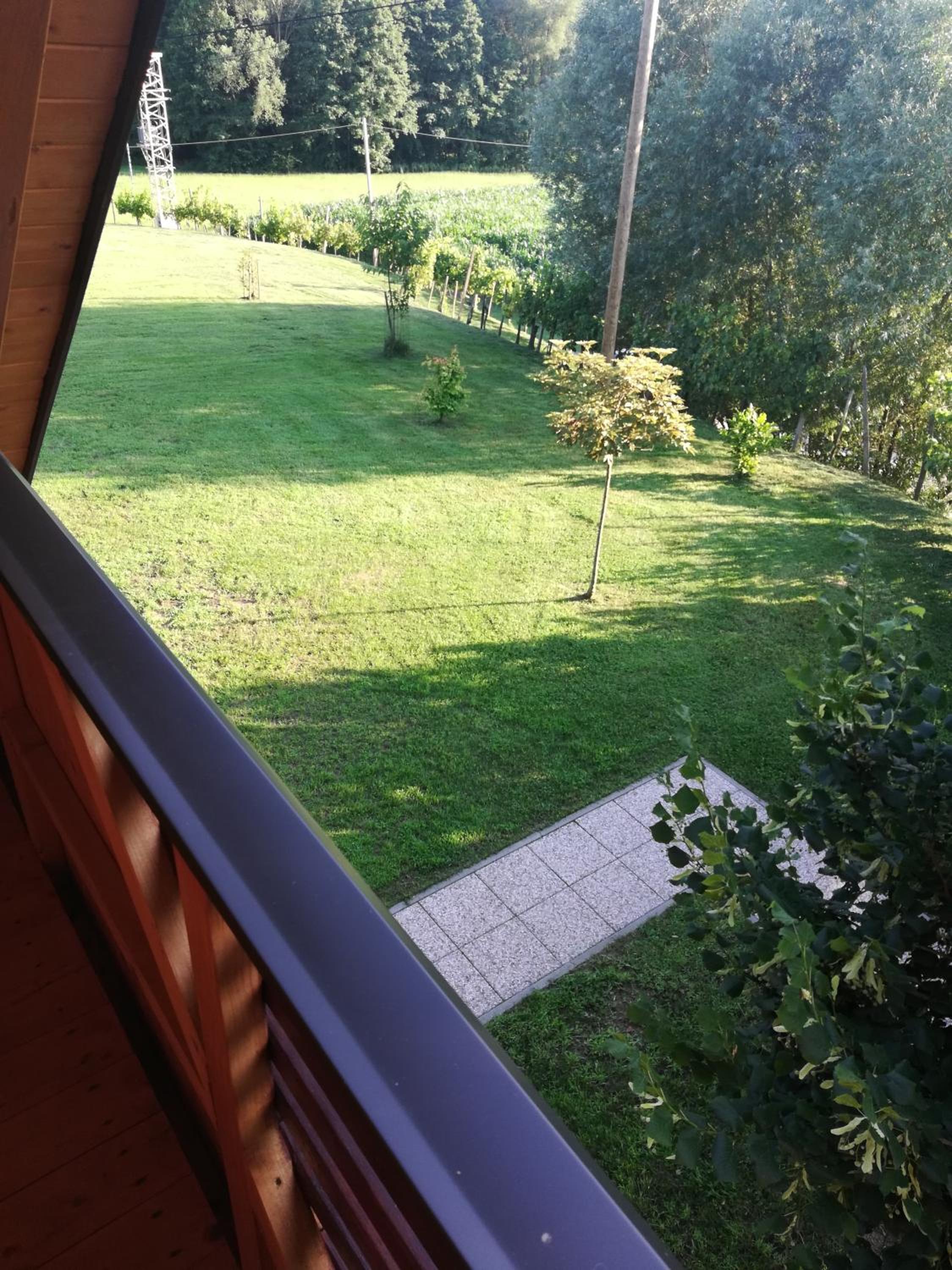 Brunarica Lorentia view 3
