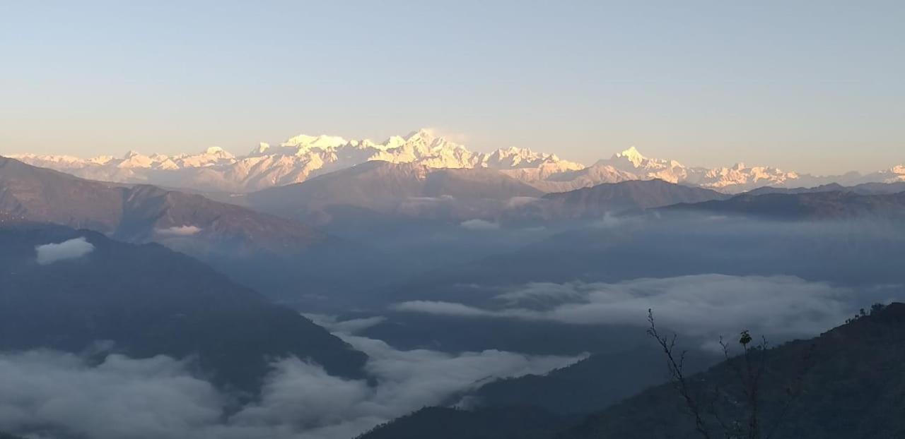 Ashis Homestay view 4