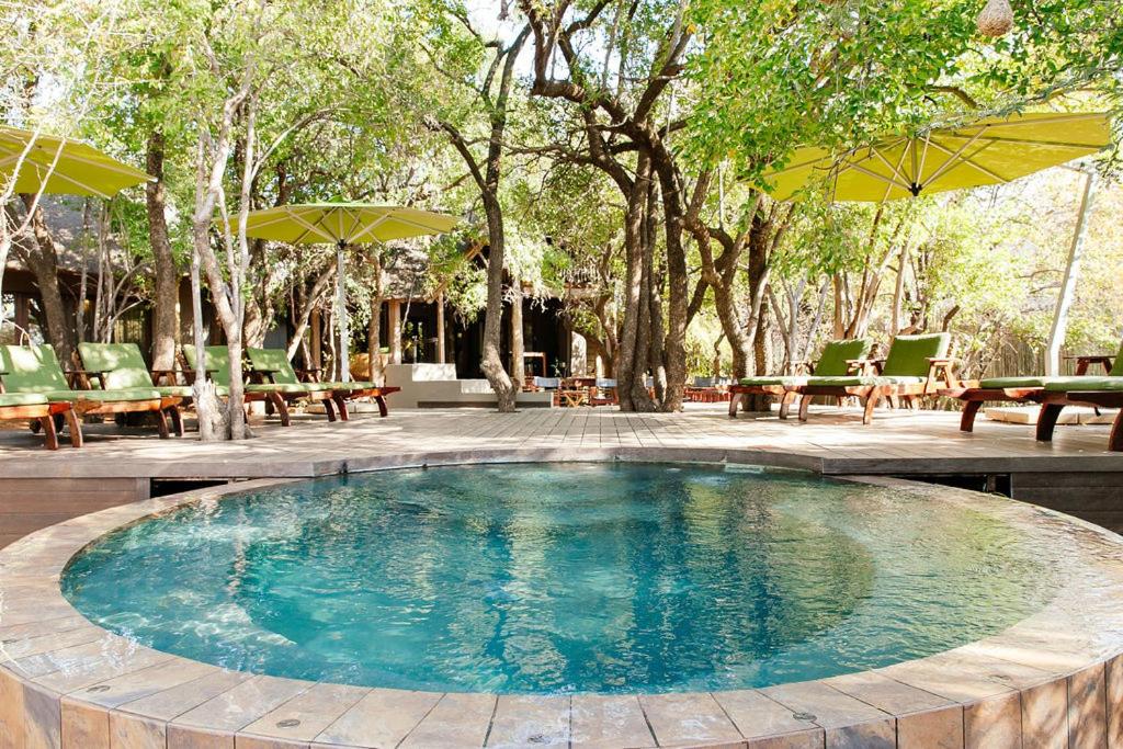Tambuti Lodge