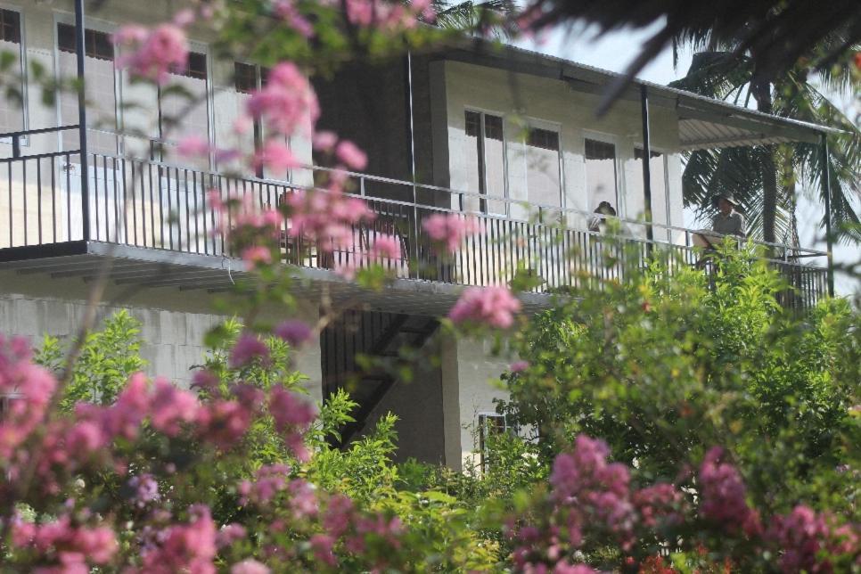 Thạch Thảo Homestay