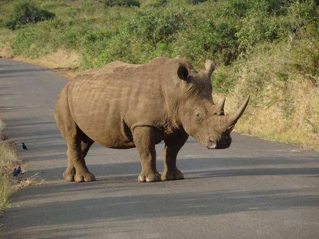 Hippo Retreat & Tiger Fishing Komatipoort