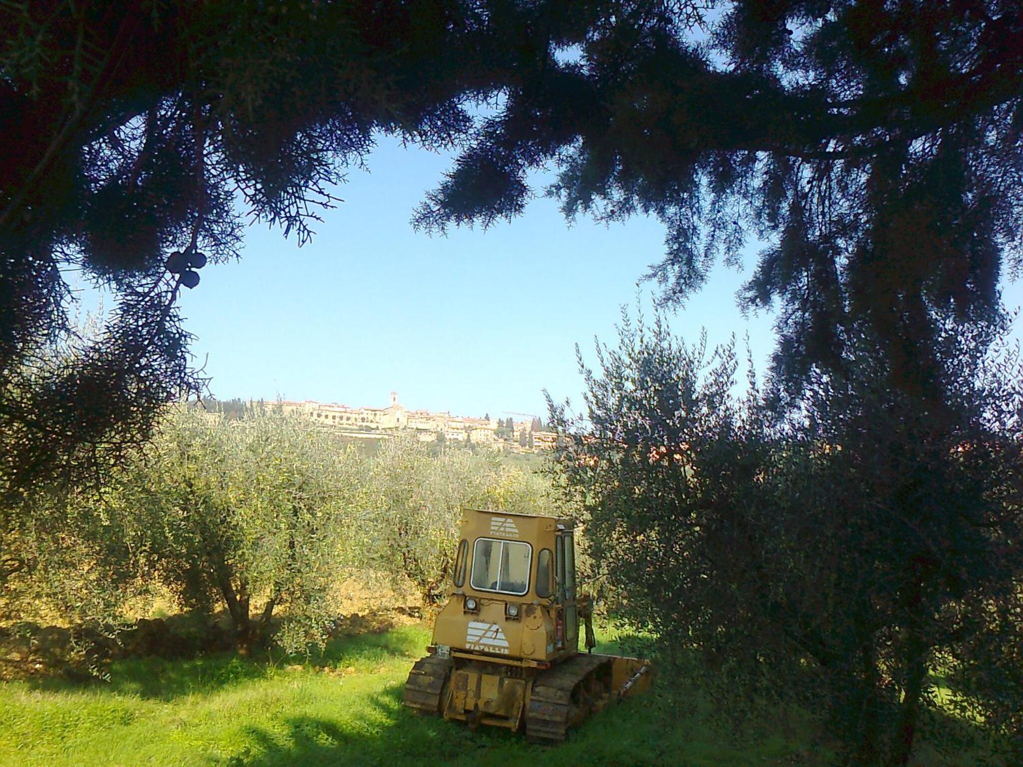 Due Piani
