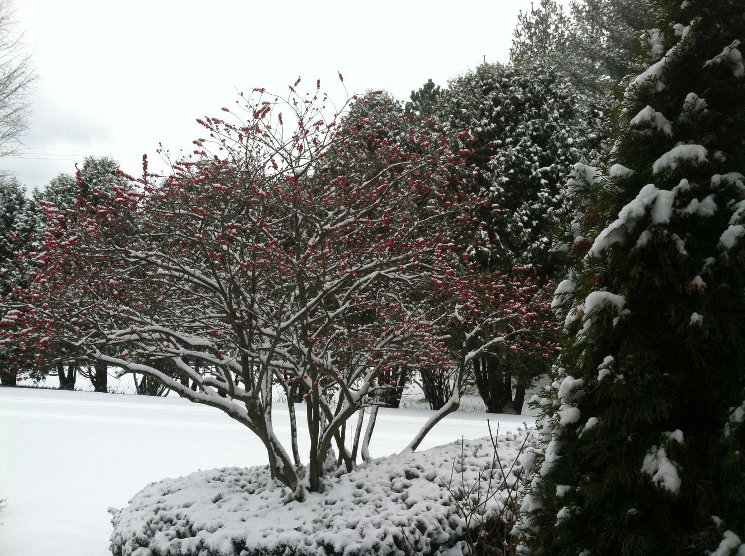 Rutland Vacations - Antique Mansion B  B - Property Image 27