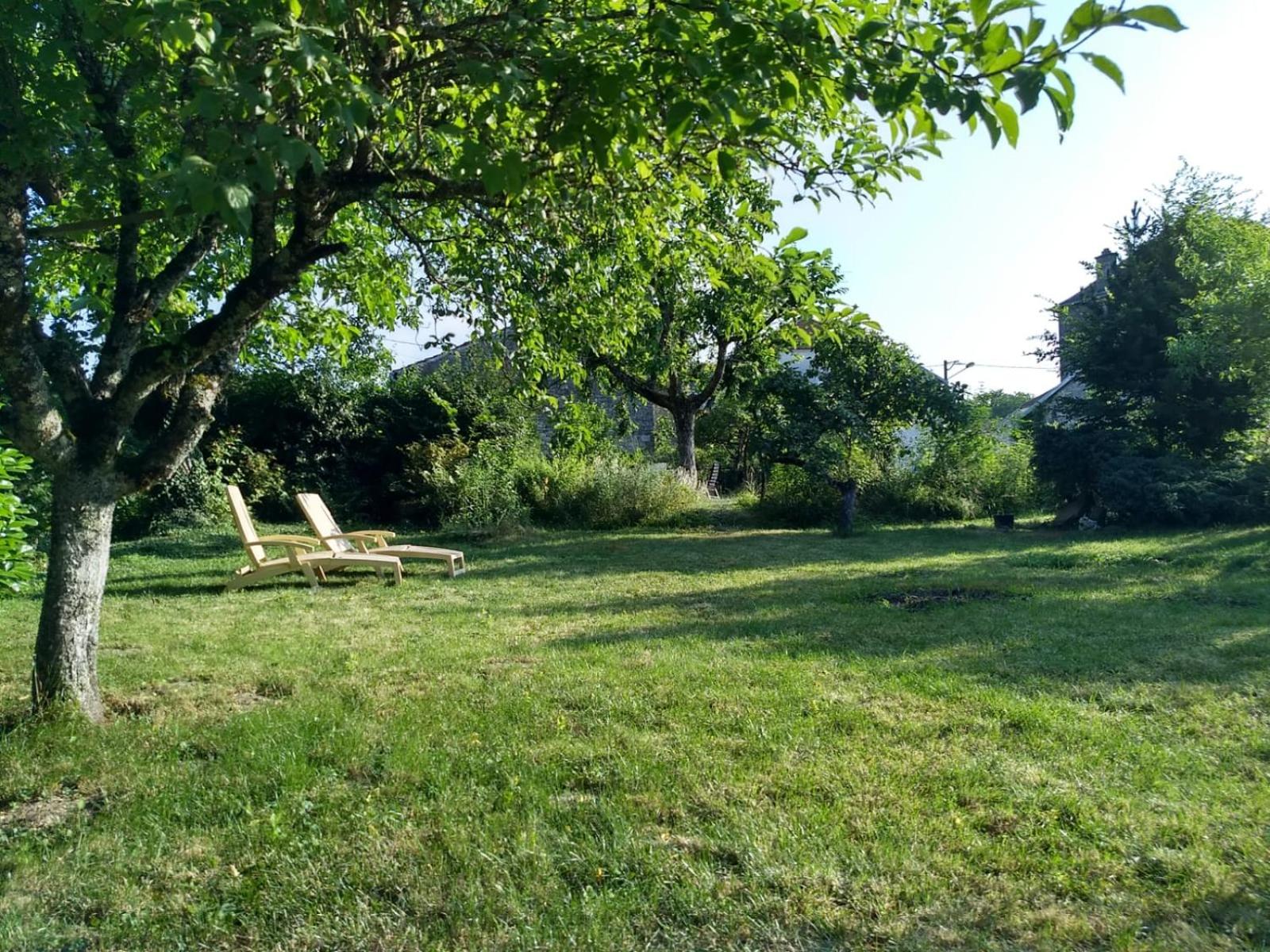 Photo 31