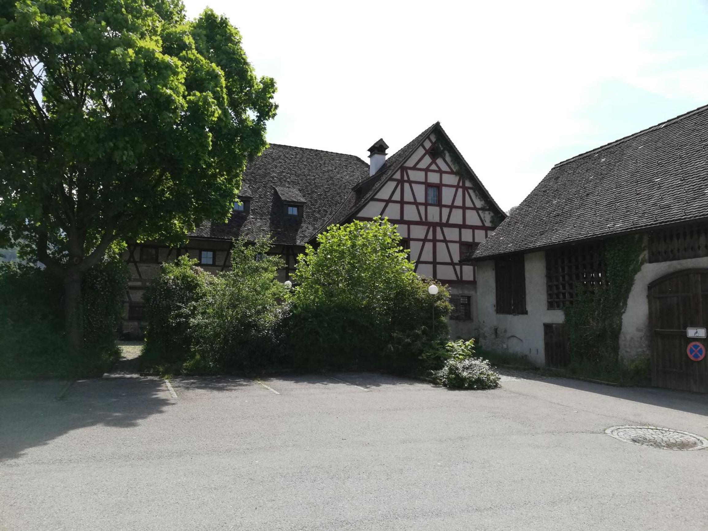 Photo 7