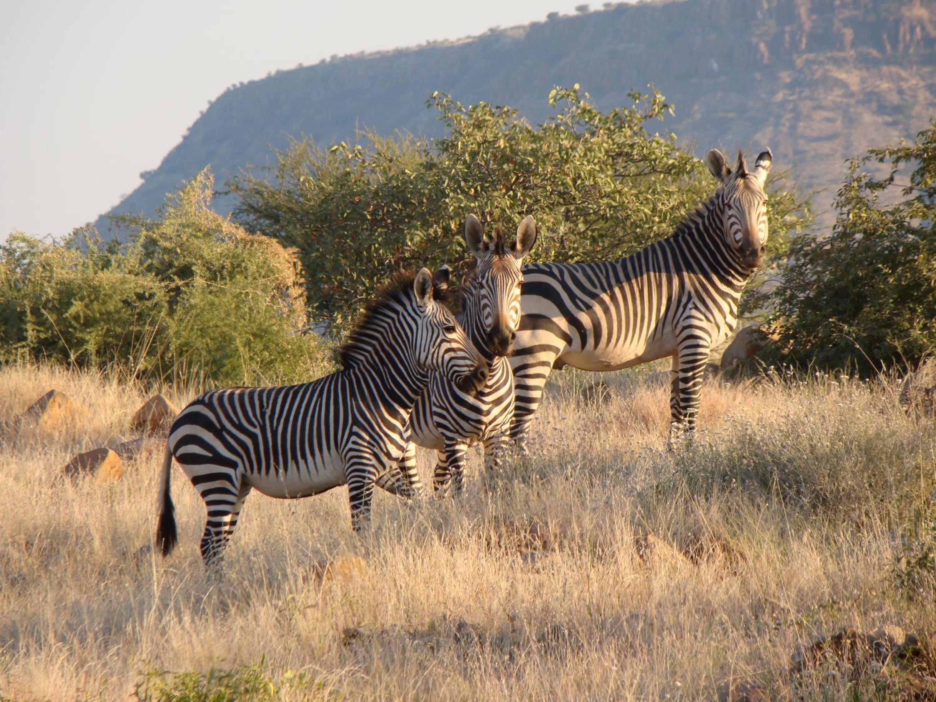 Grootberg Lodge