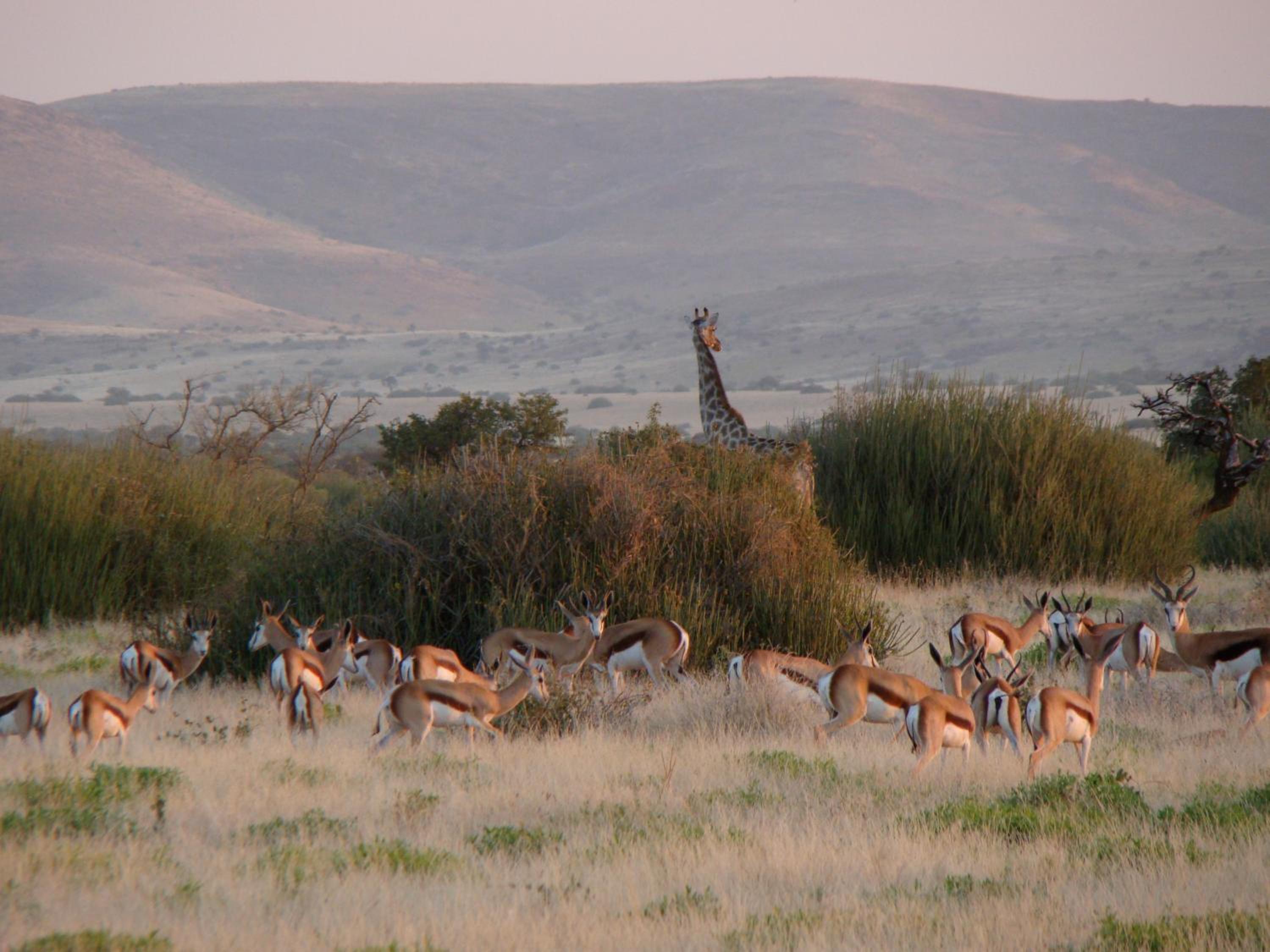 Grootberg Lodge