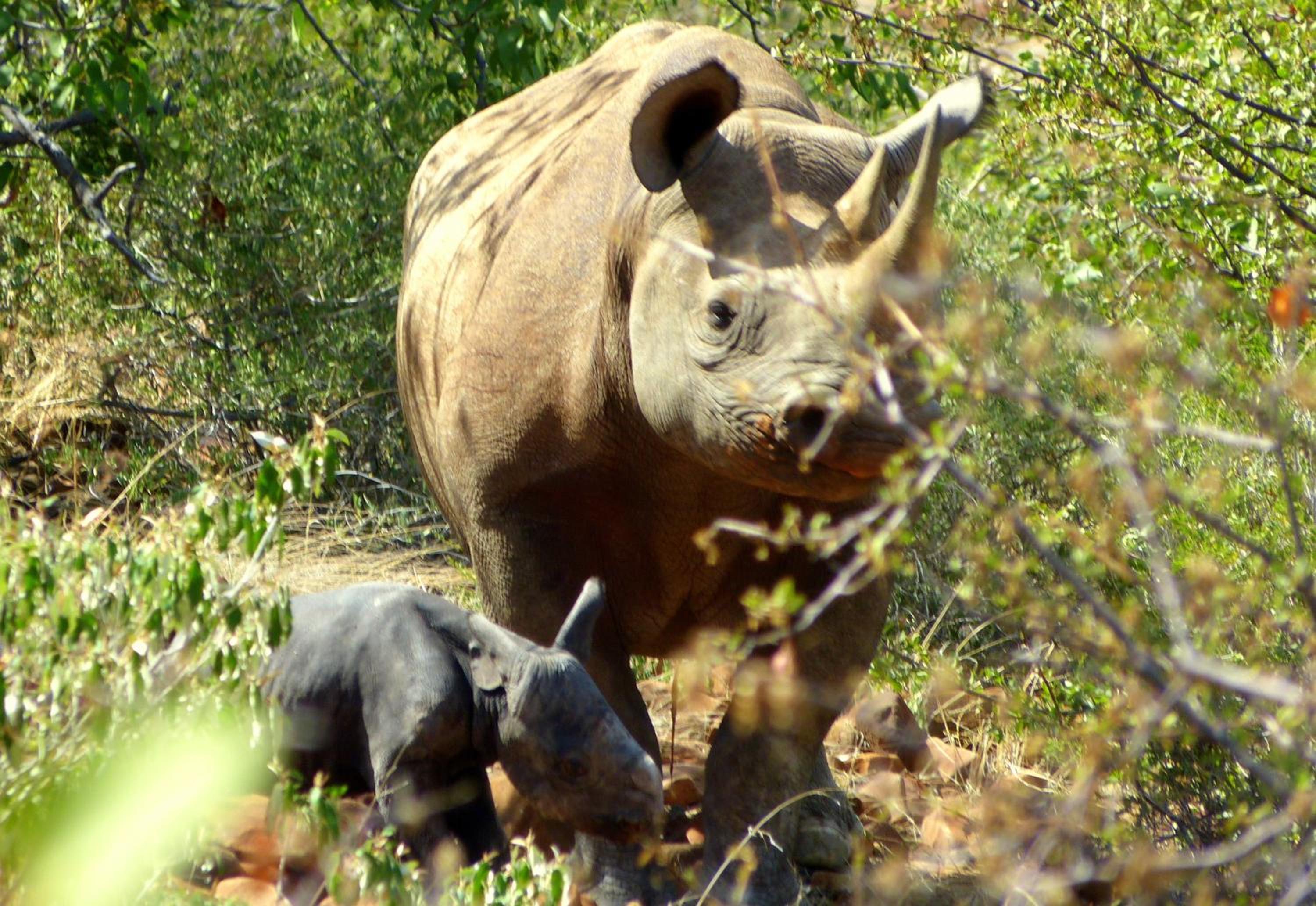 Grootberg Lodge