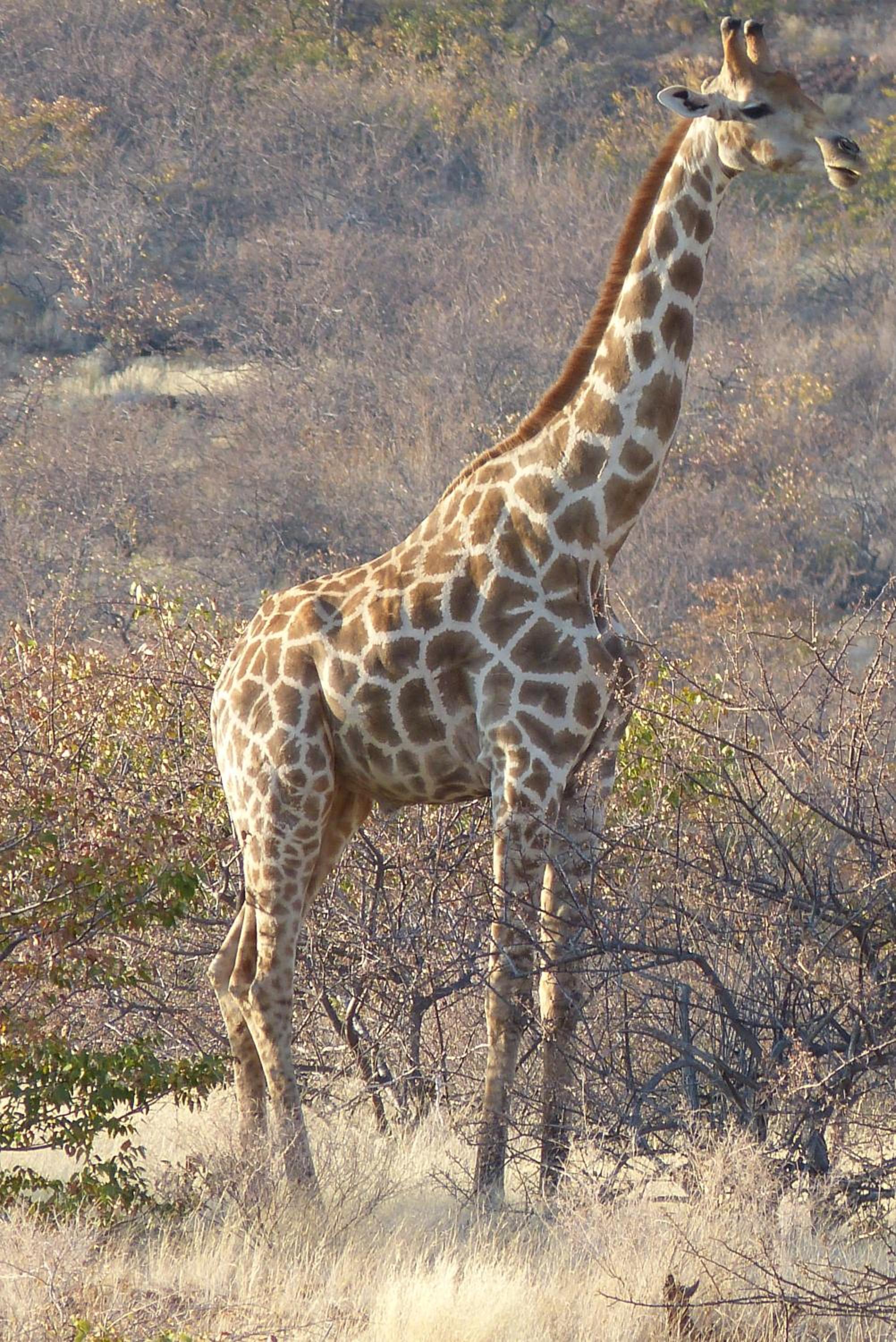 Grootberg Lodge