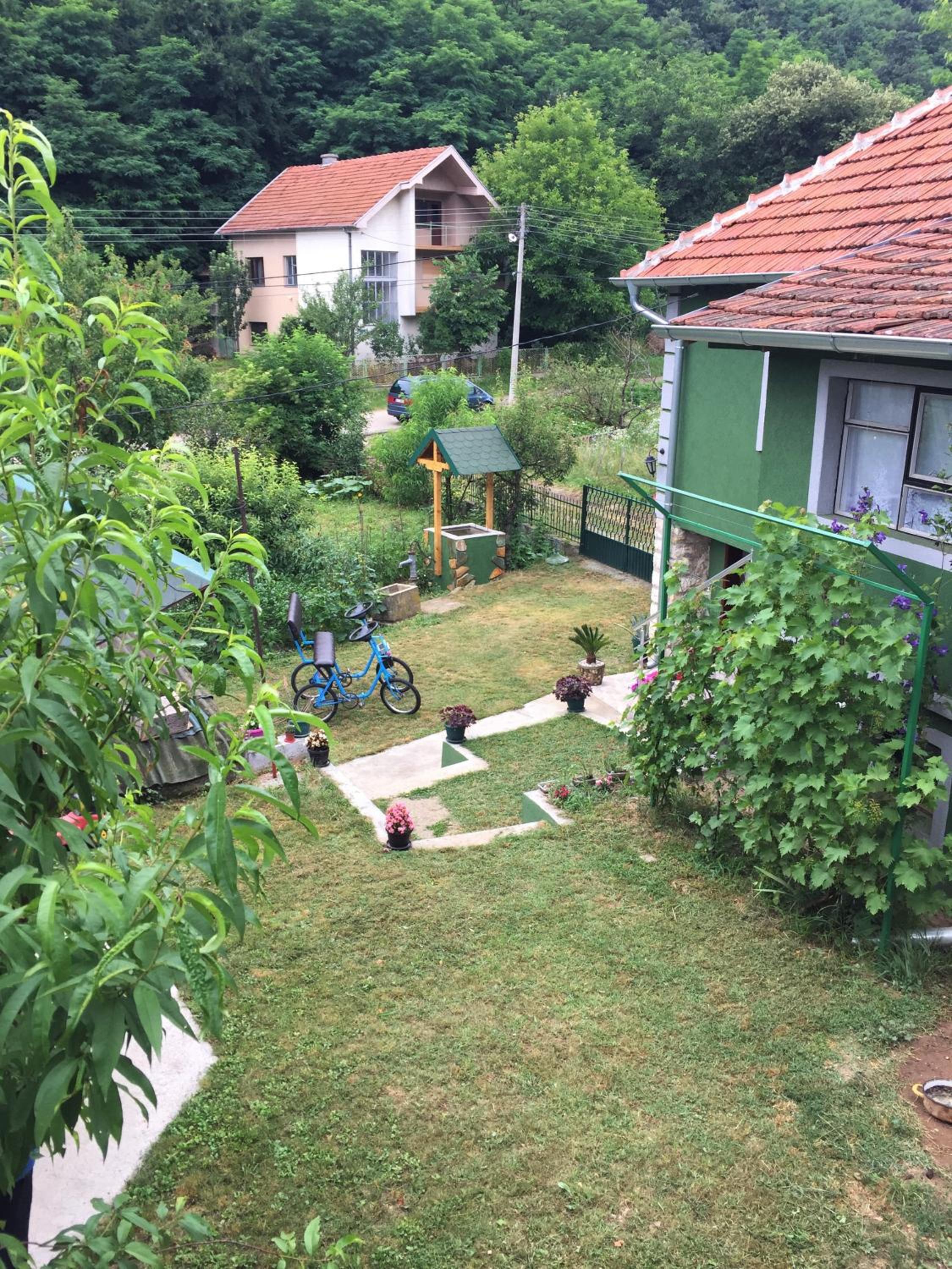 Photo 21