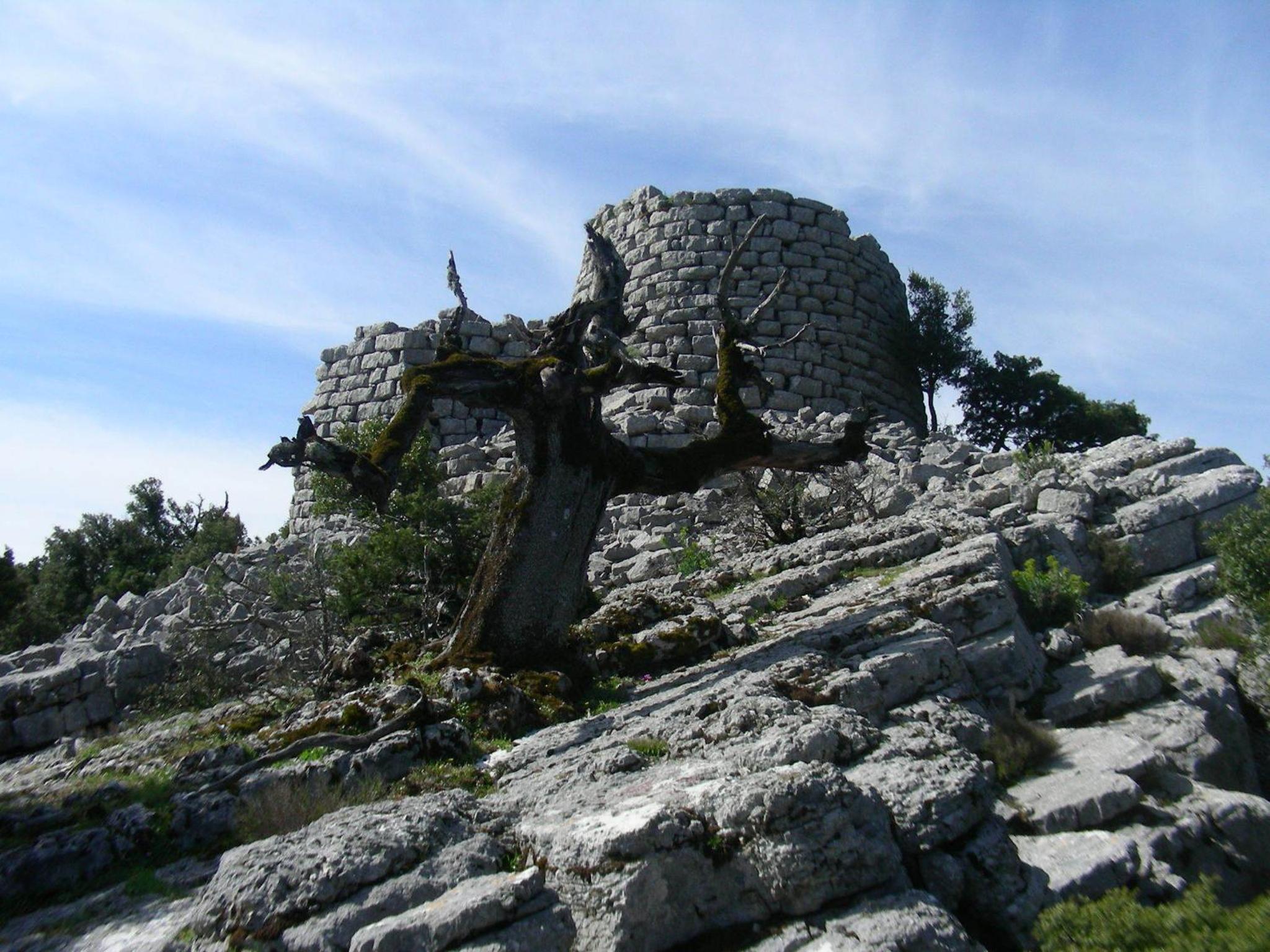 Photo 17