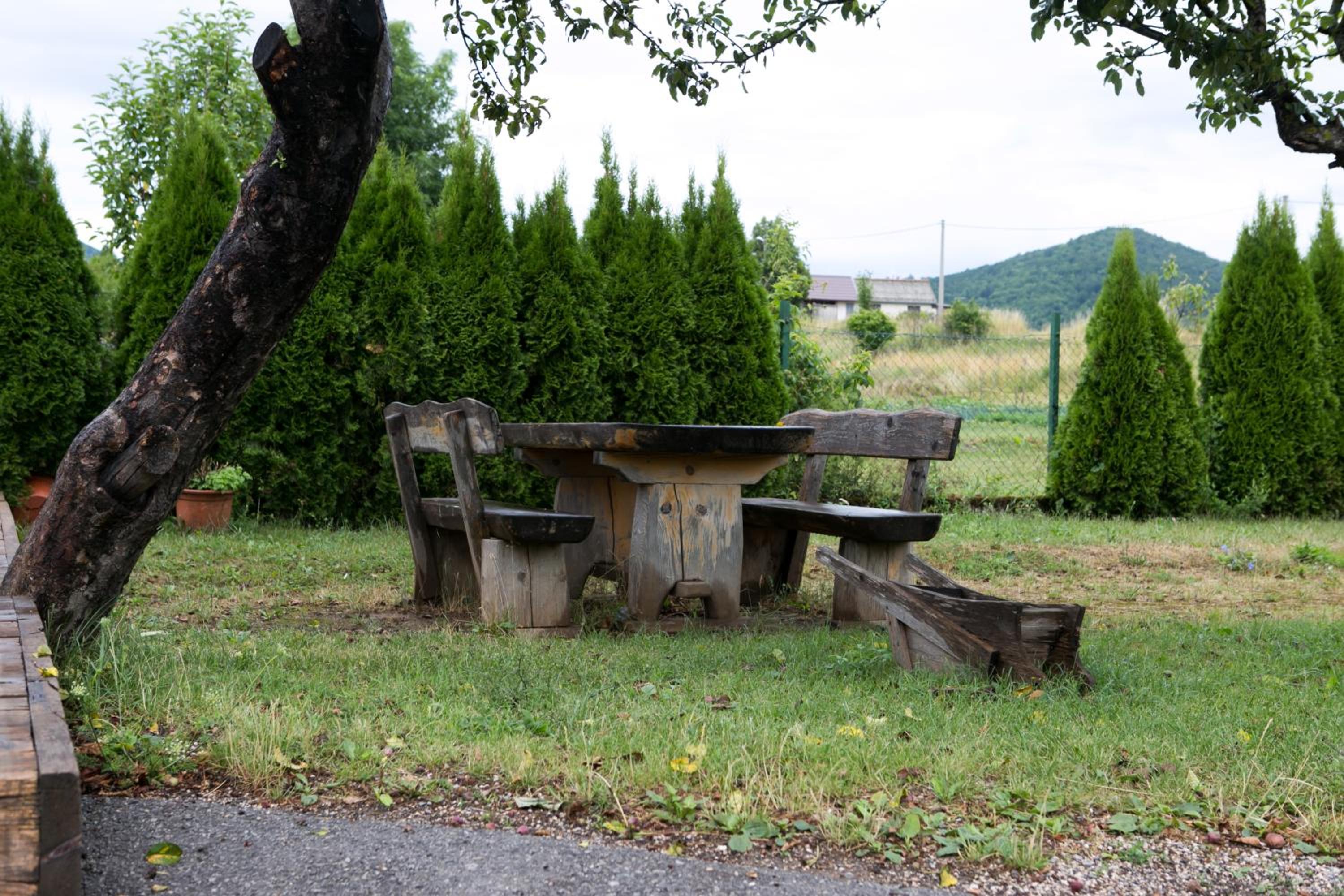 Photo 43