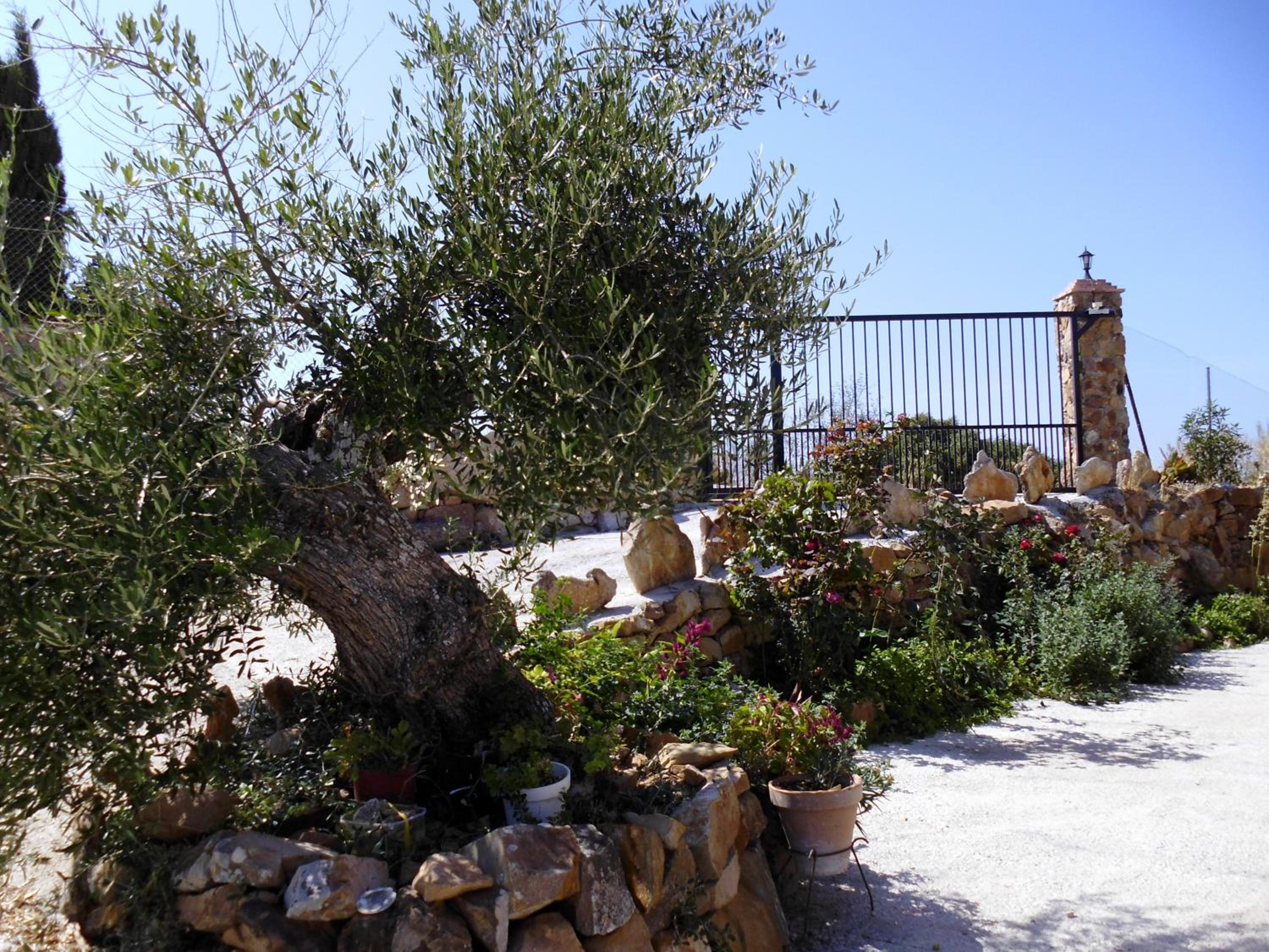 Photo 19