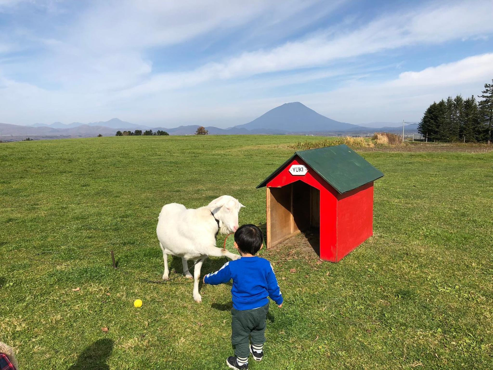 Ecco's House エッコズハウス