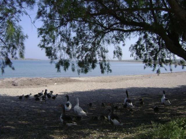 Photo 32