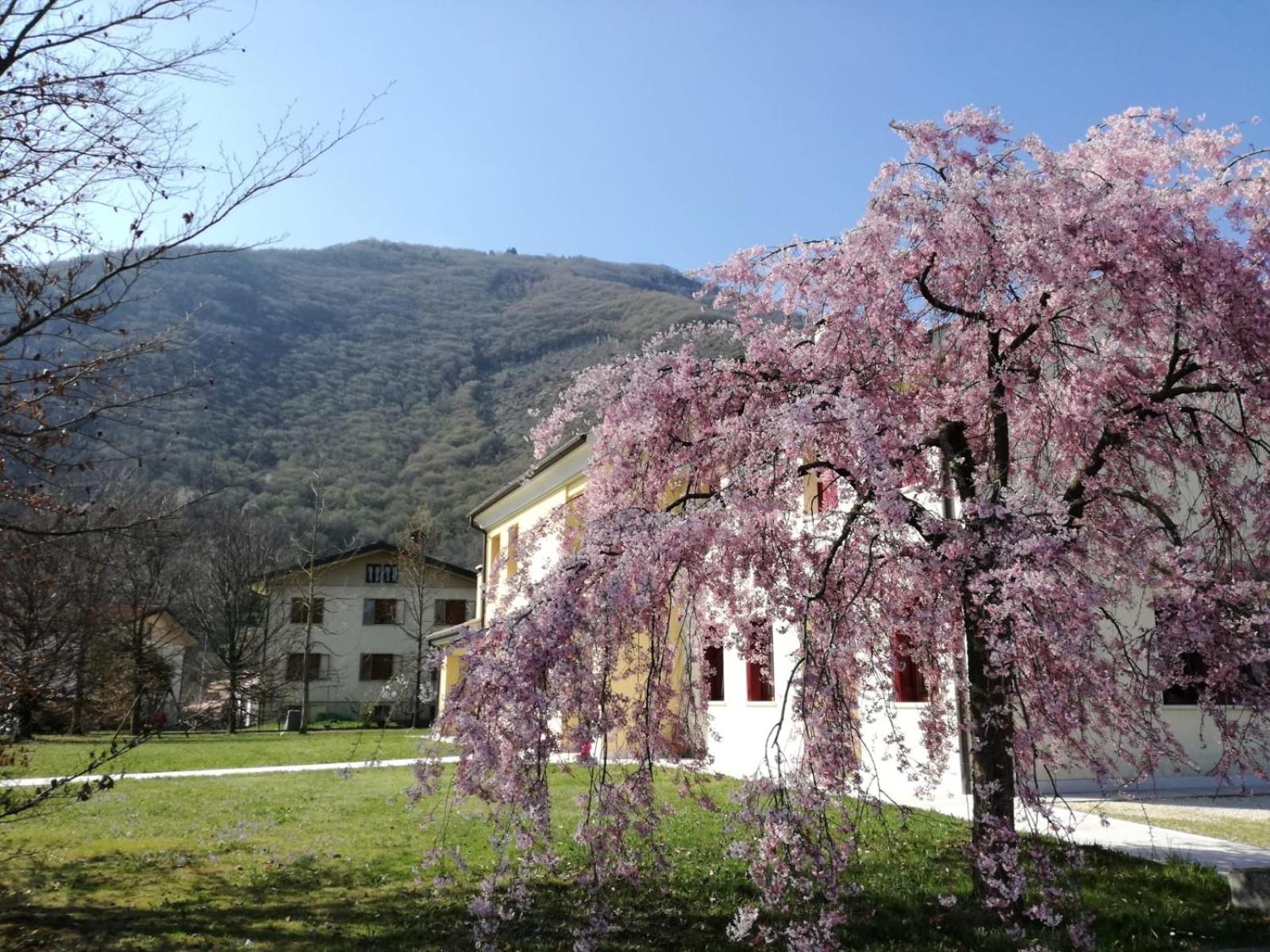 Agriturismo Memento view 3