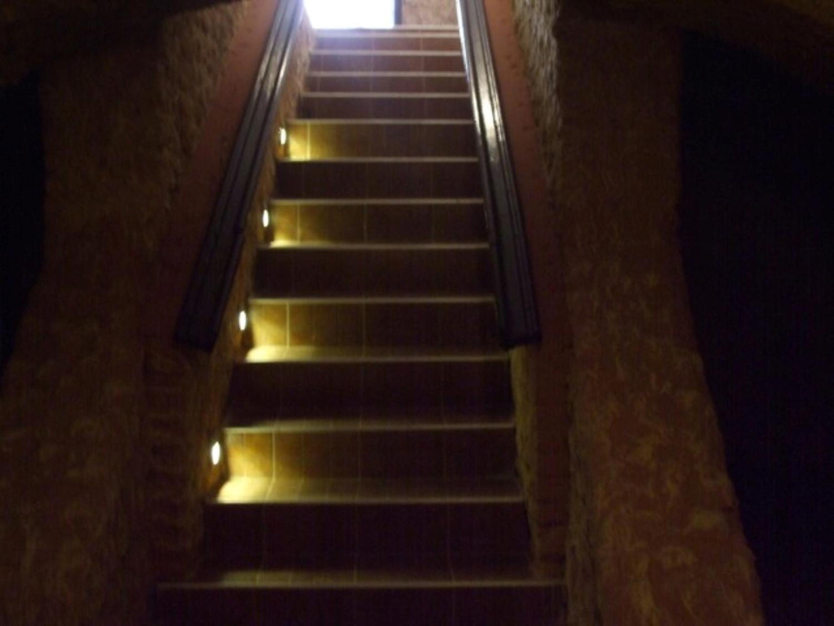 Photo 49