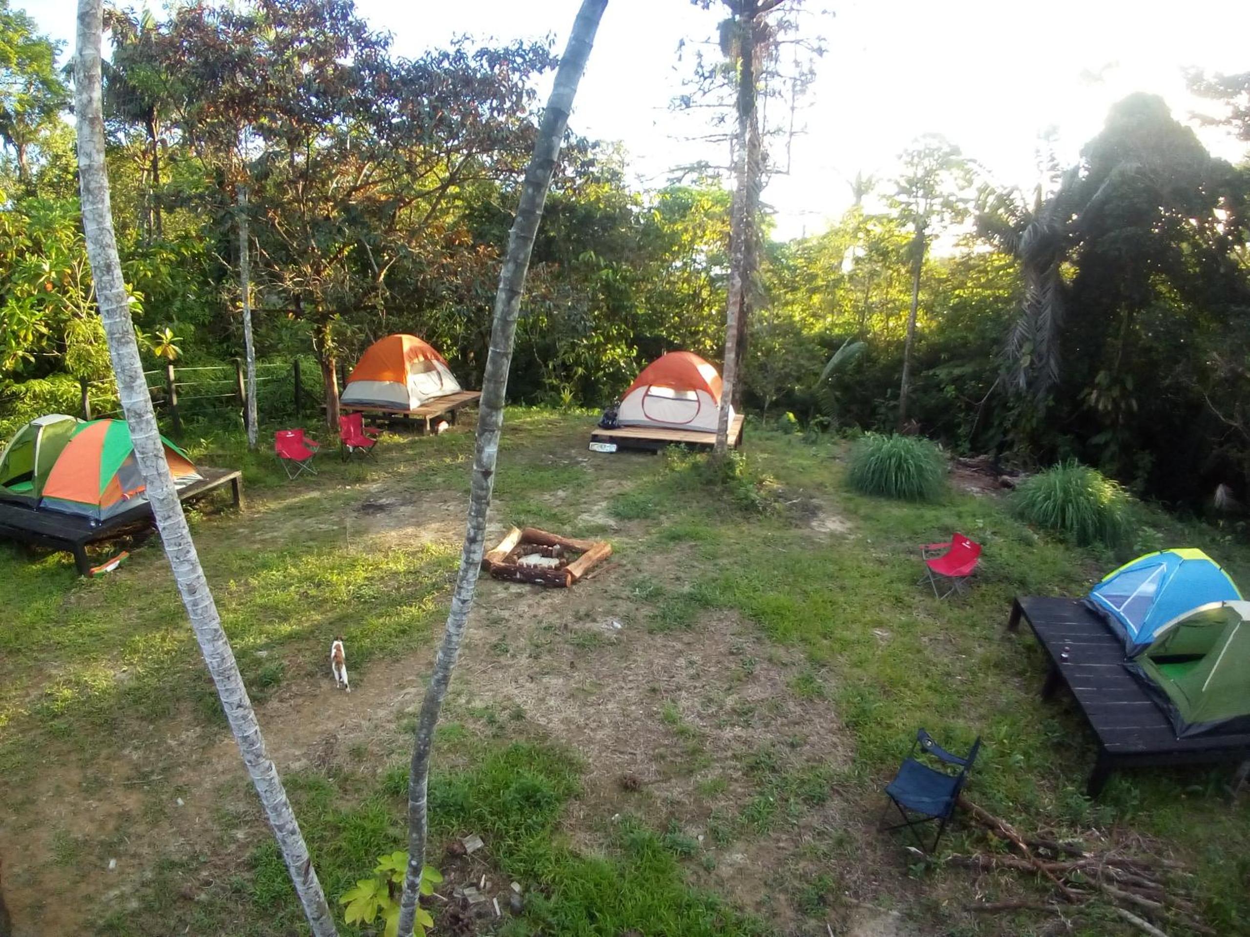 Photo 28