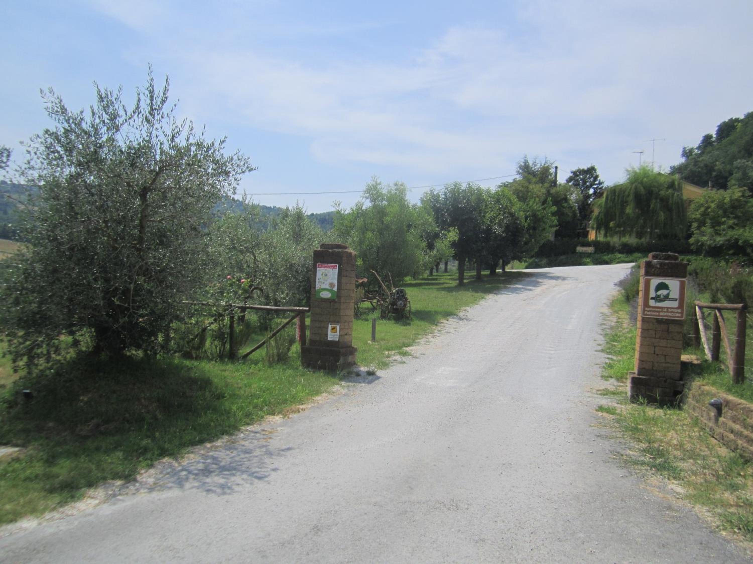 Fattoria Bertaccini view 3