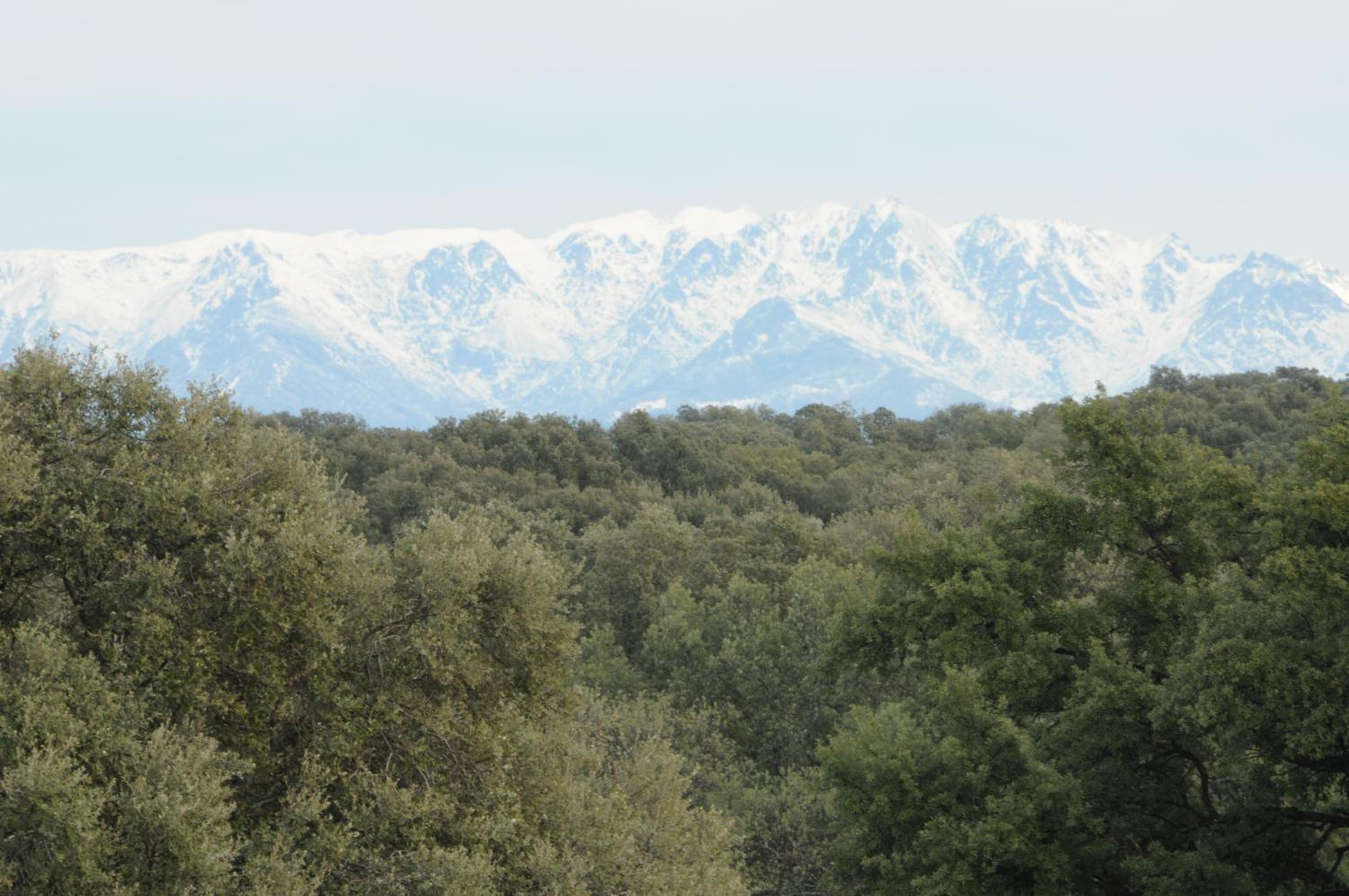 La Cerca Del Alcornoque