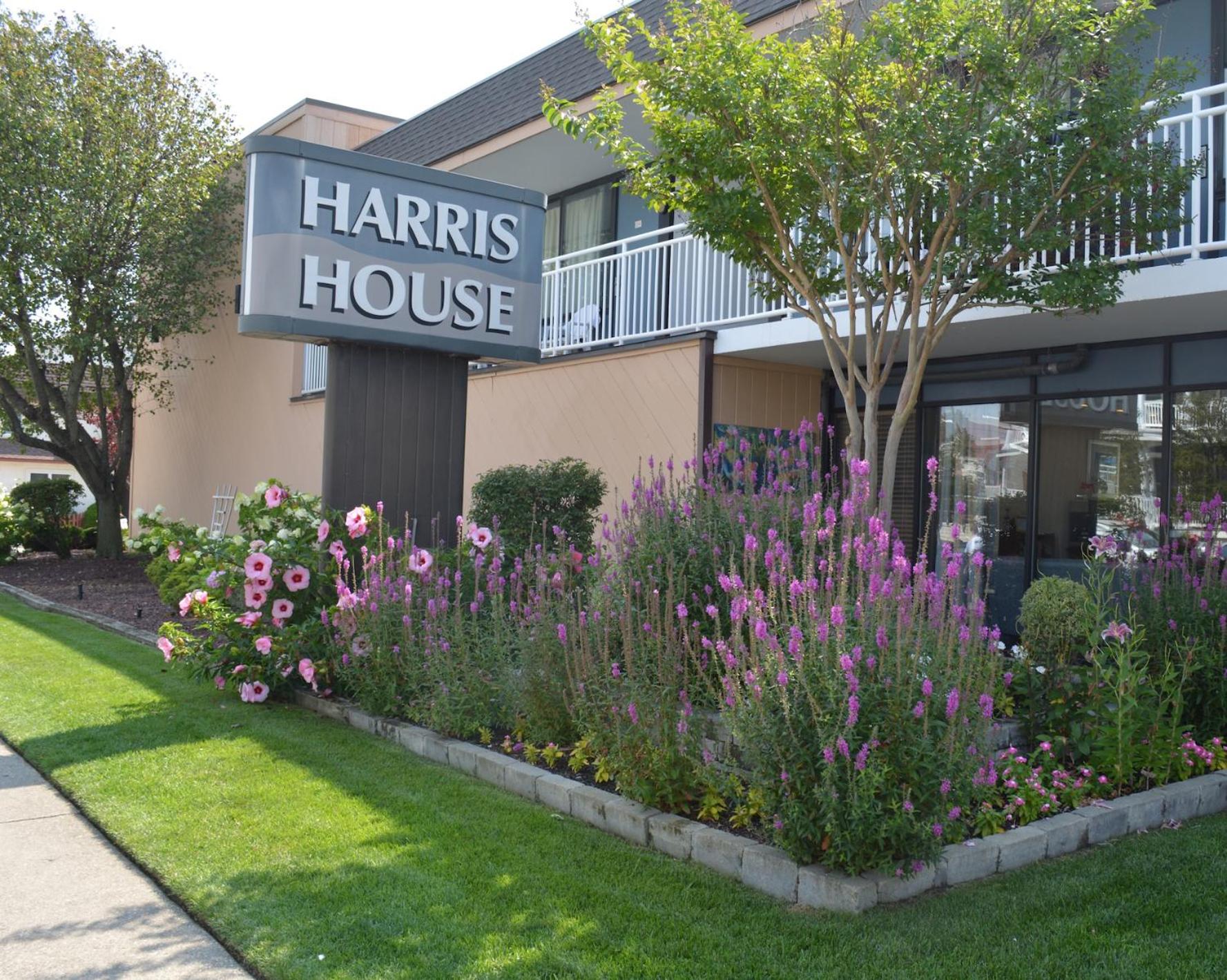 Hotel Harris House by the Beach - Image 1
