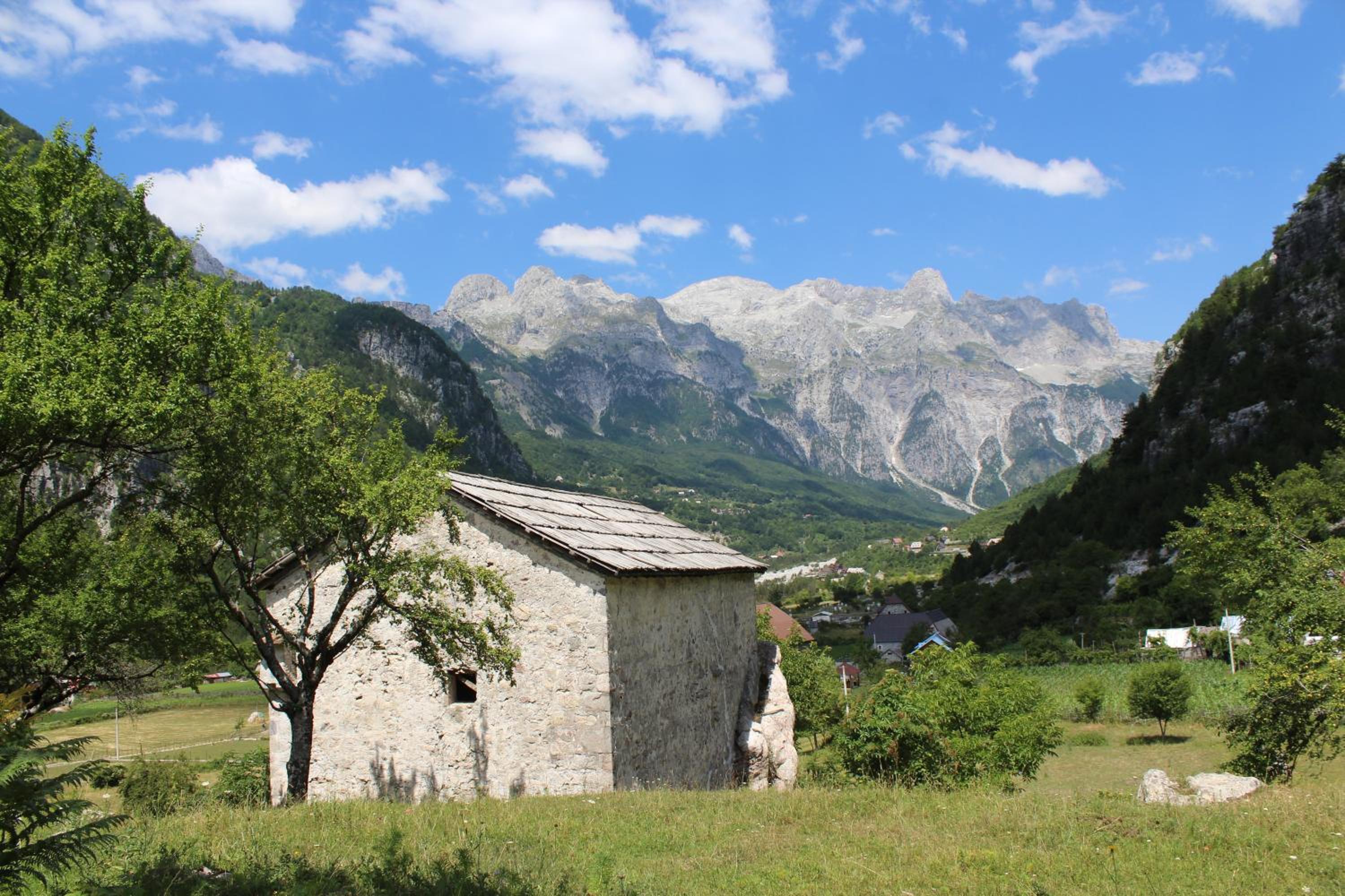 Bujtina Ziçi