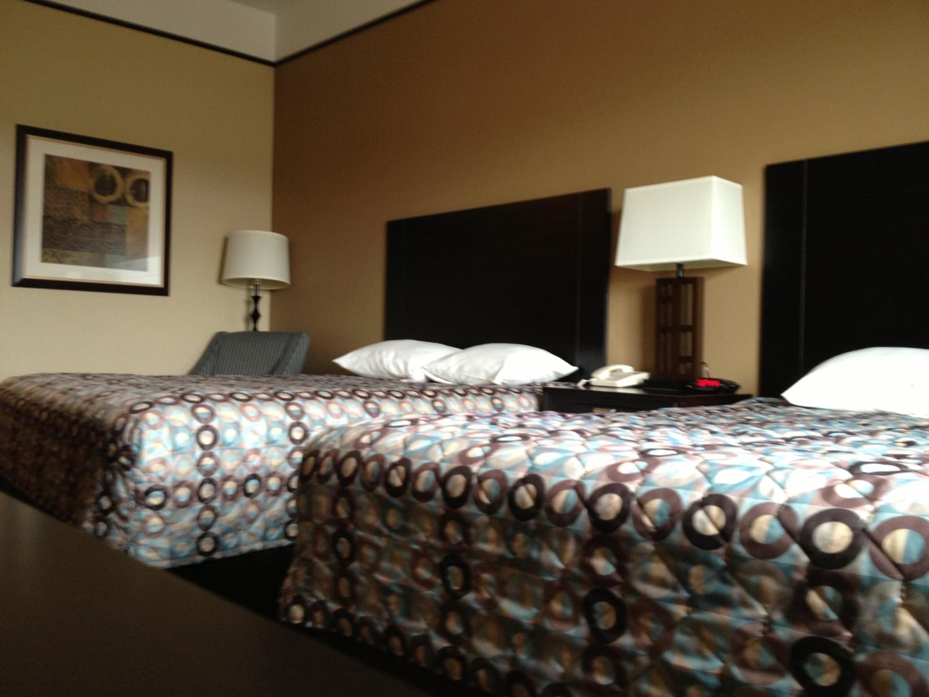 Photo 41