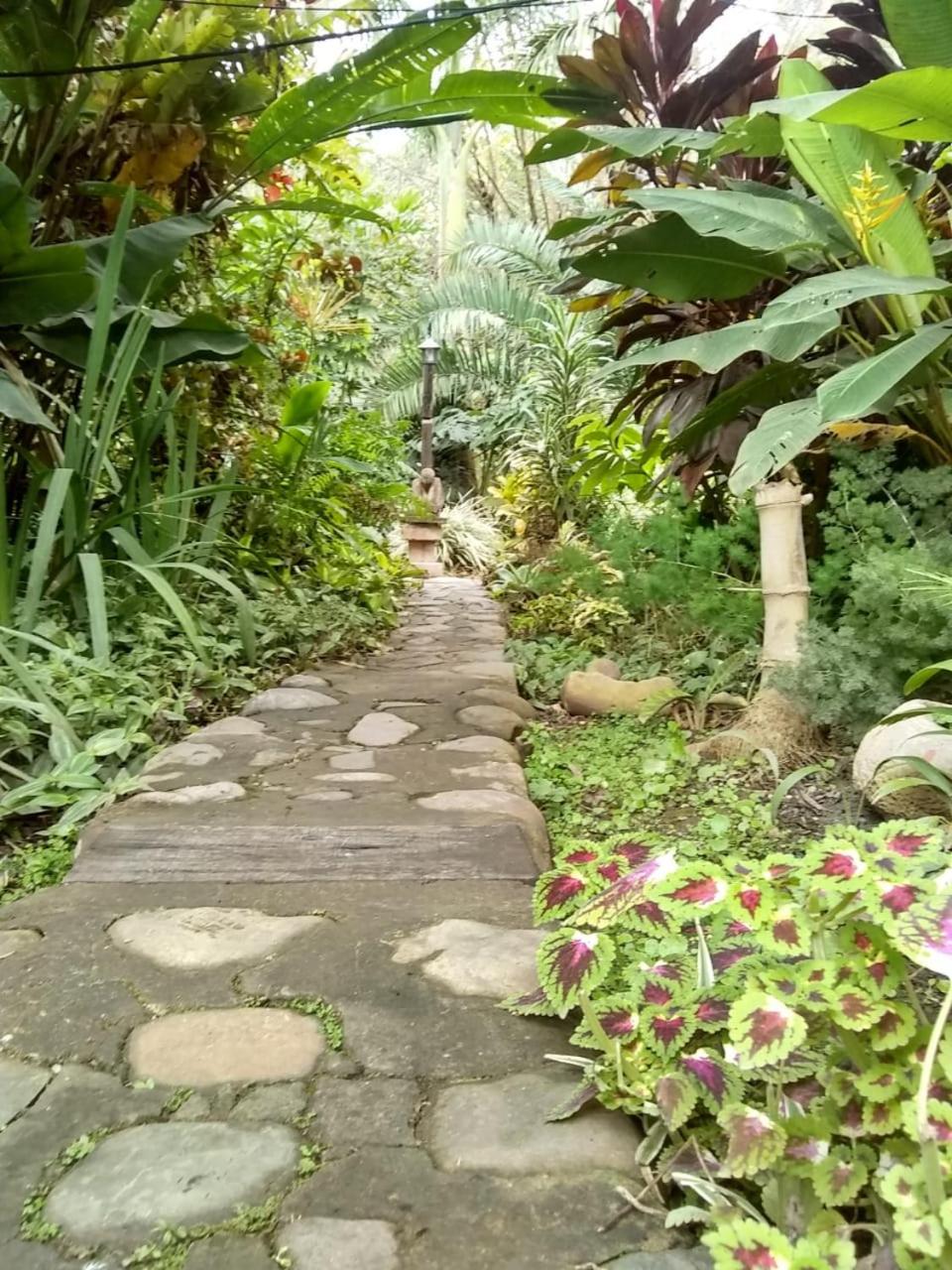 El Jardin Colonial