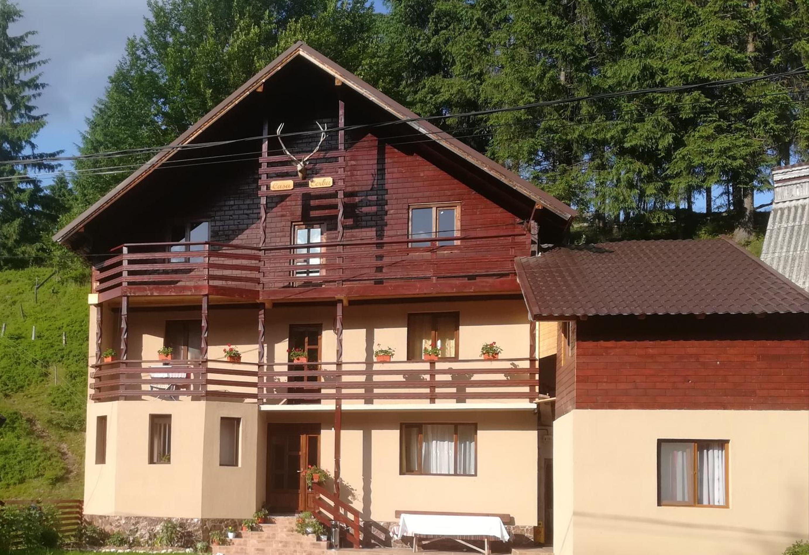 Casa Cerbu view 3