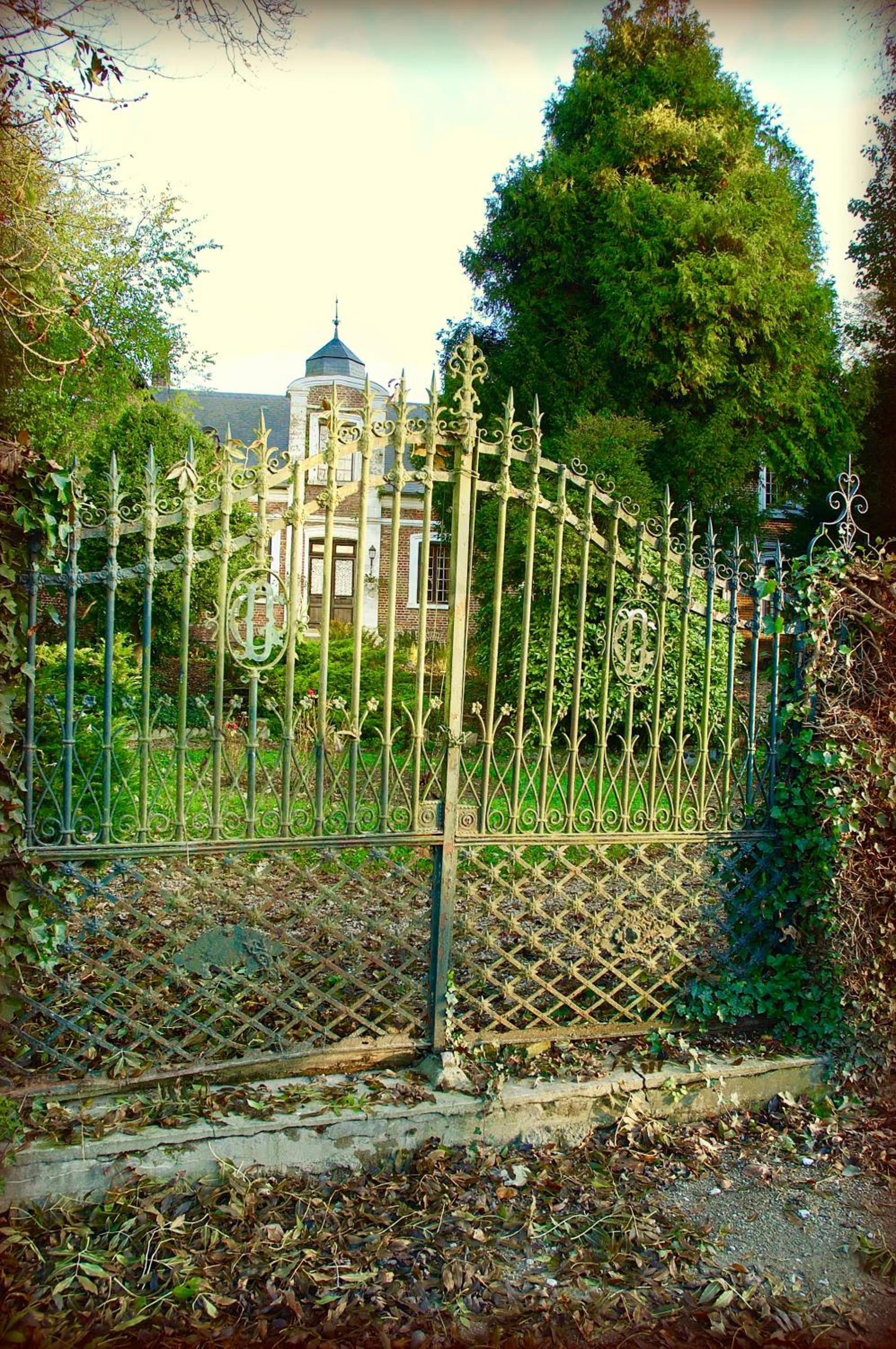 Photo 13