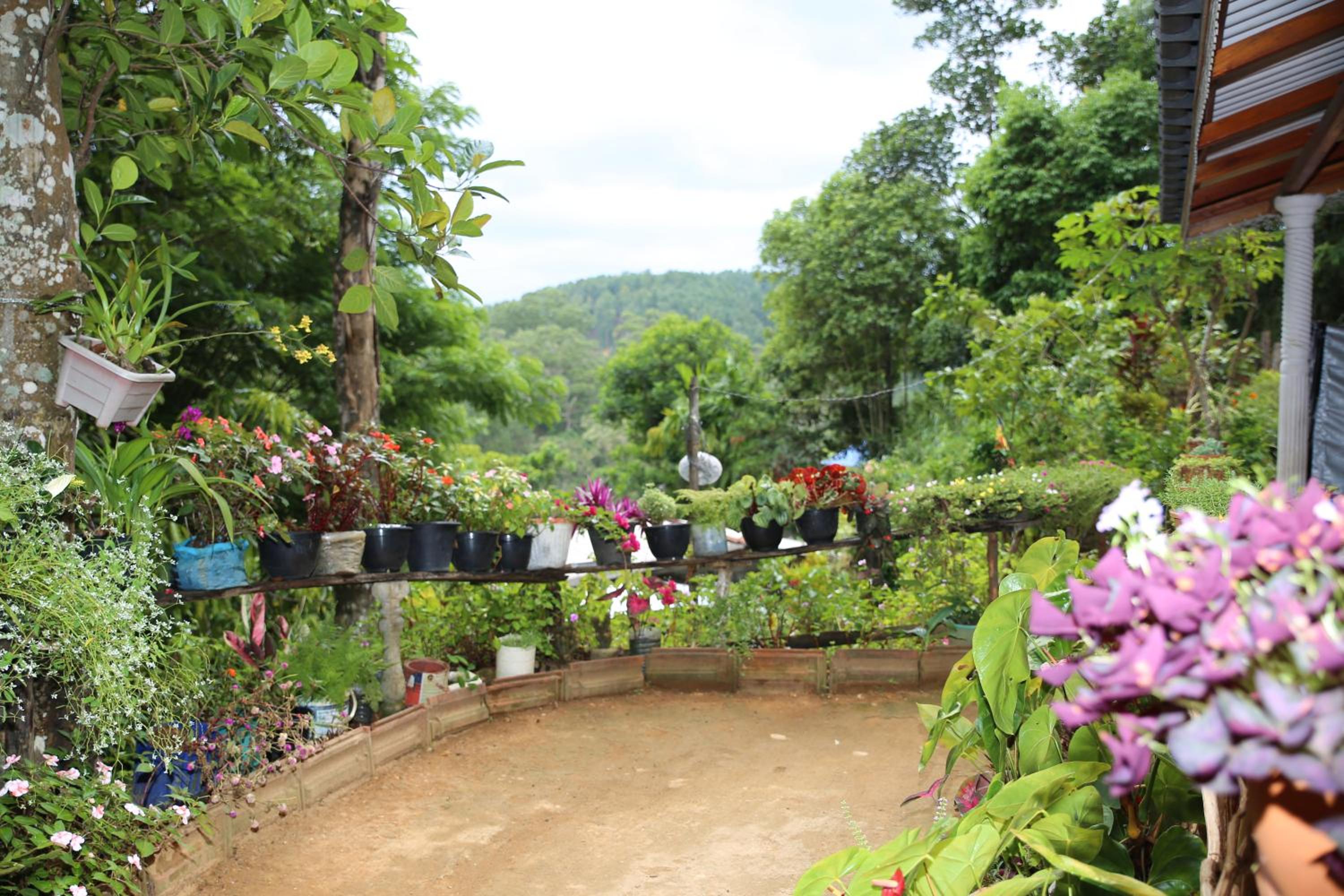 Secret Nest Homestay