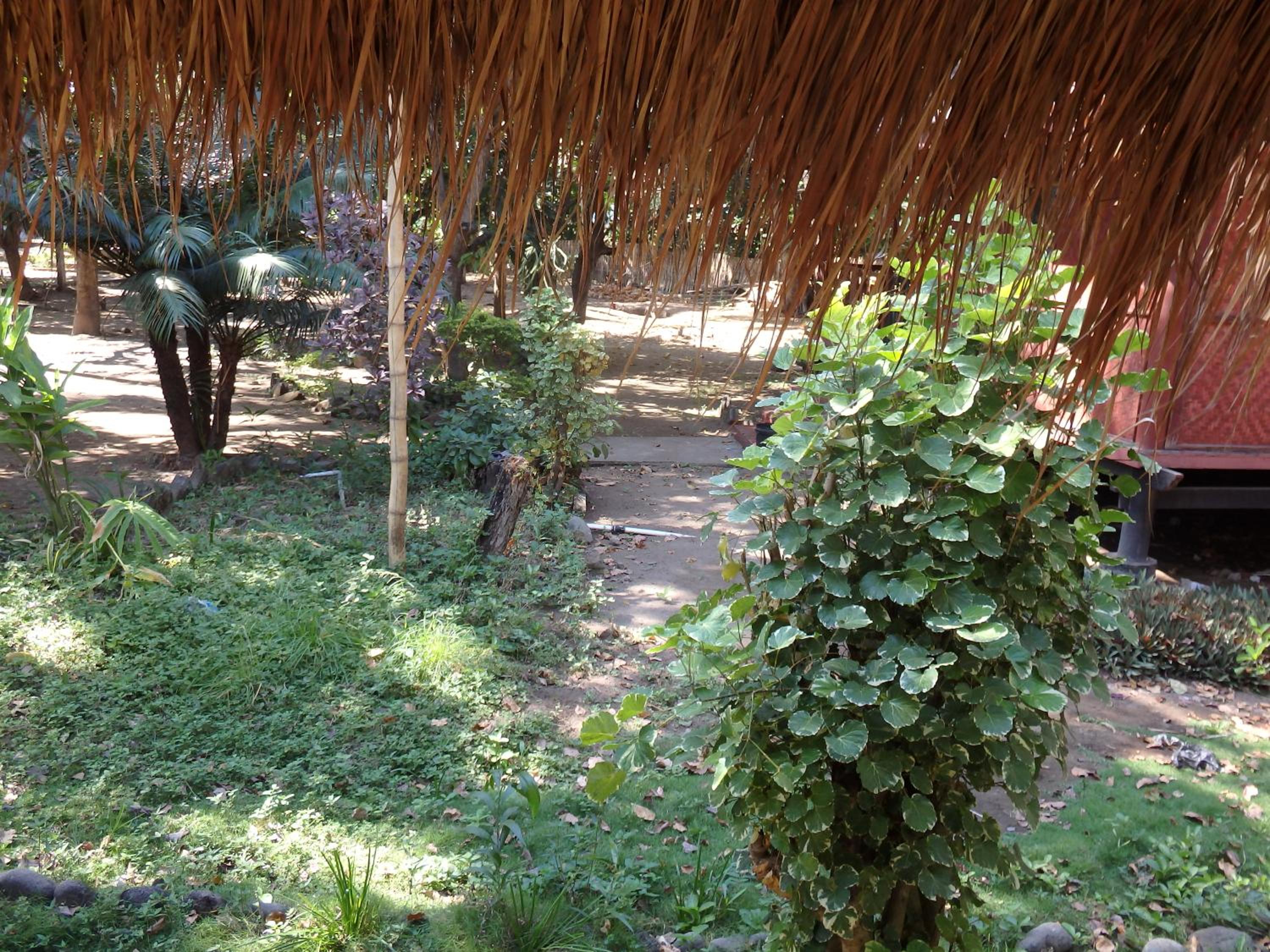 Photo 7