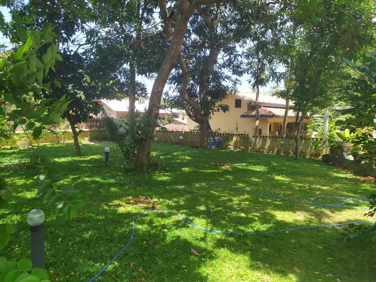Cinnamon House view 5