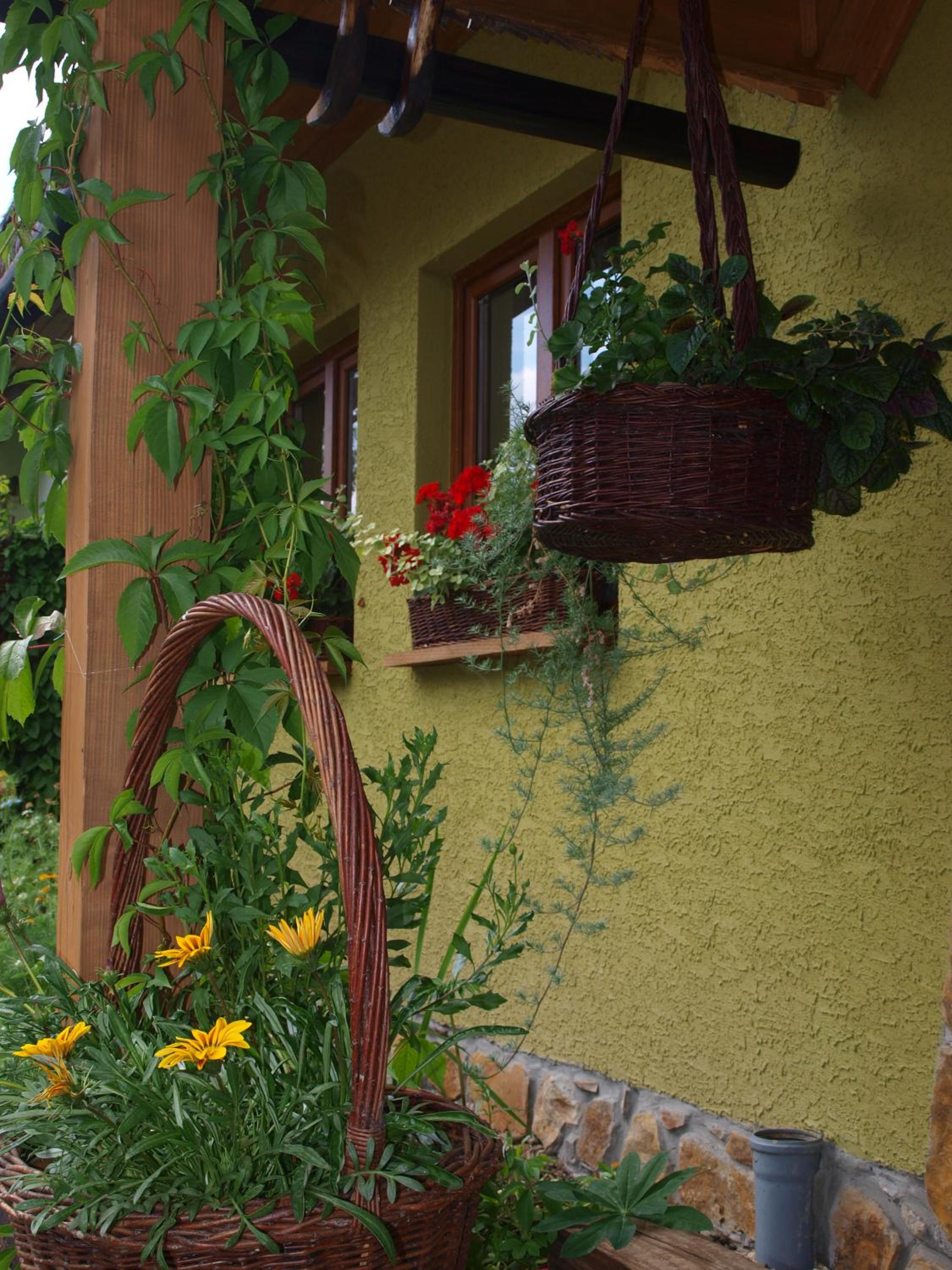 Photo 45