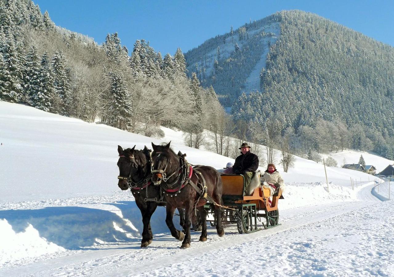 Am Ferienbauernhof Schmiedbauer com Salzkammergut view 3