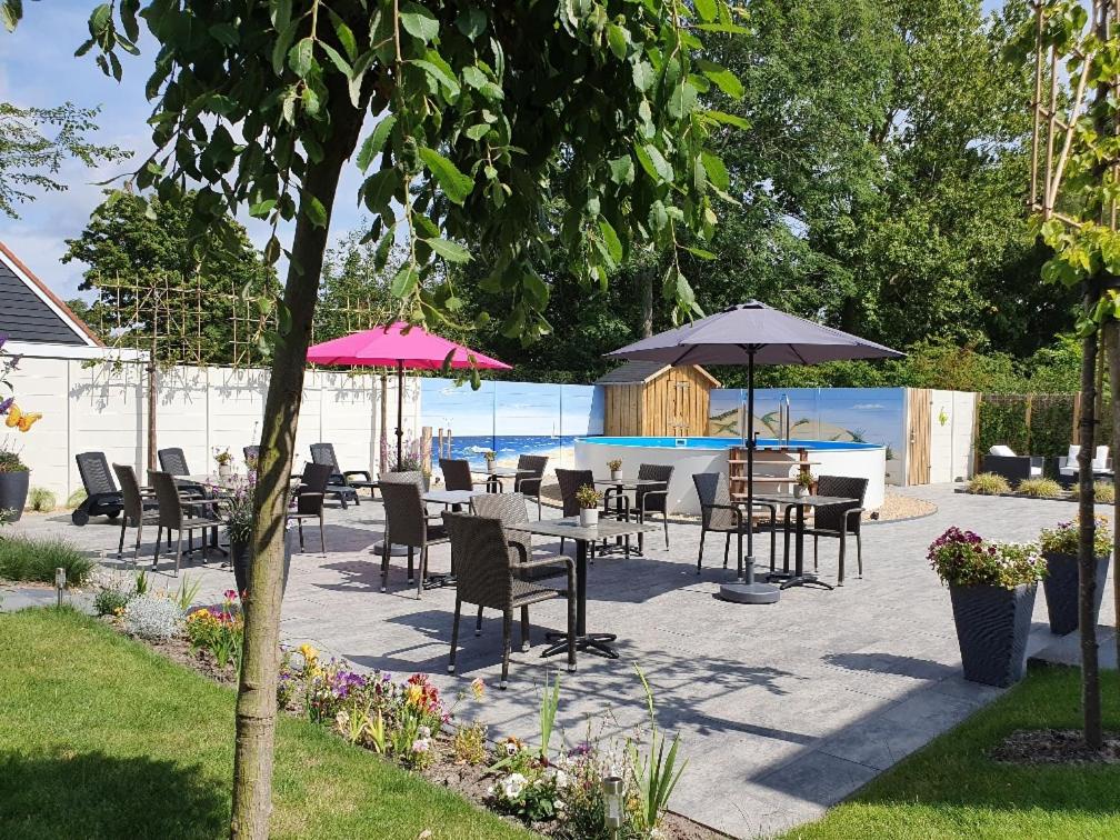 B&B Dennenbos view 5