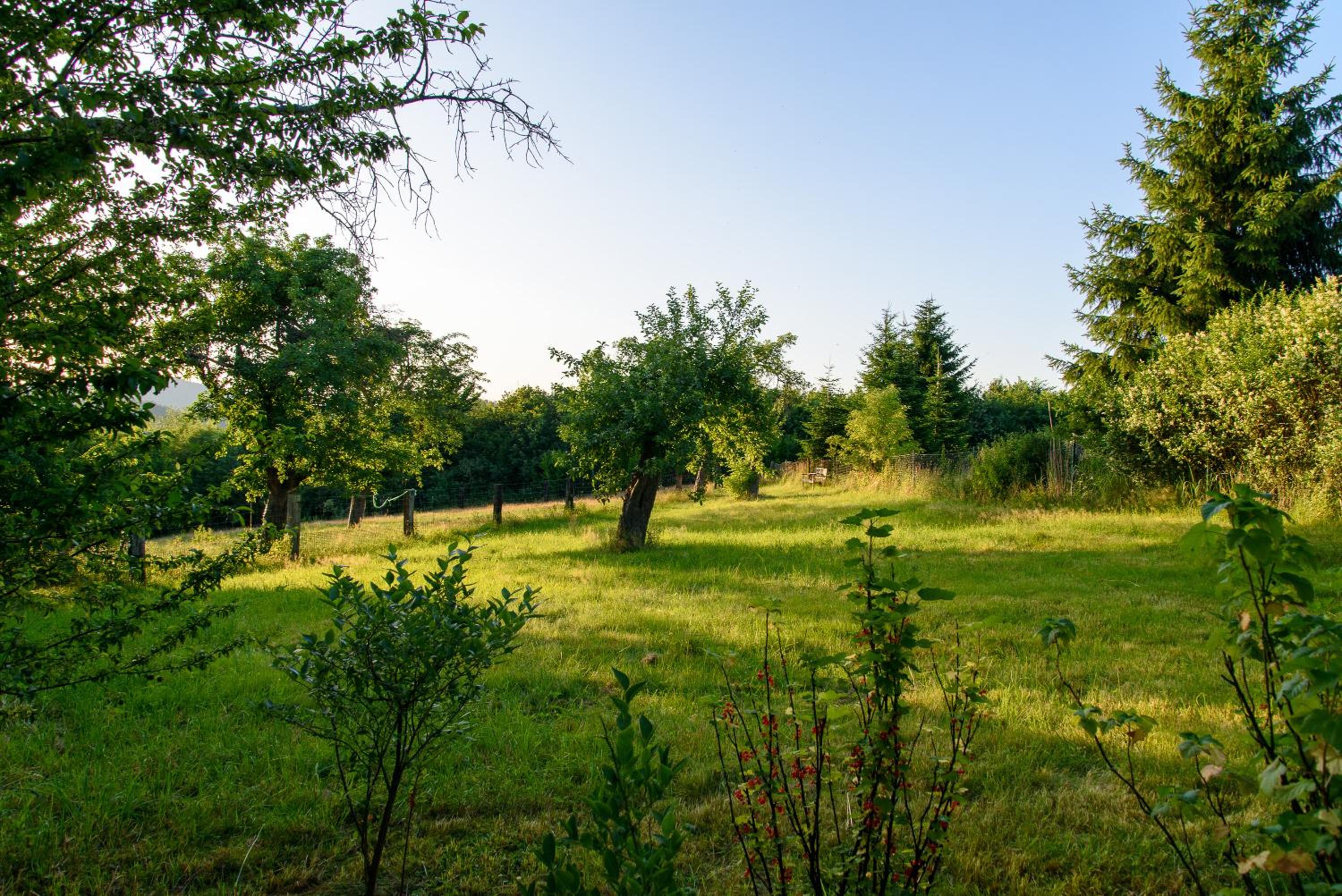 Altendorfer Vorwerk - Ferienapartments