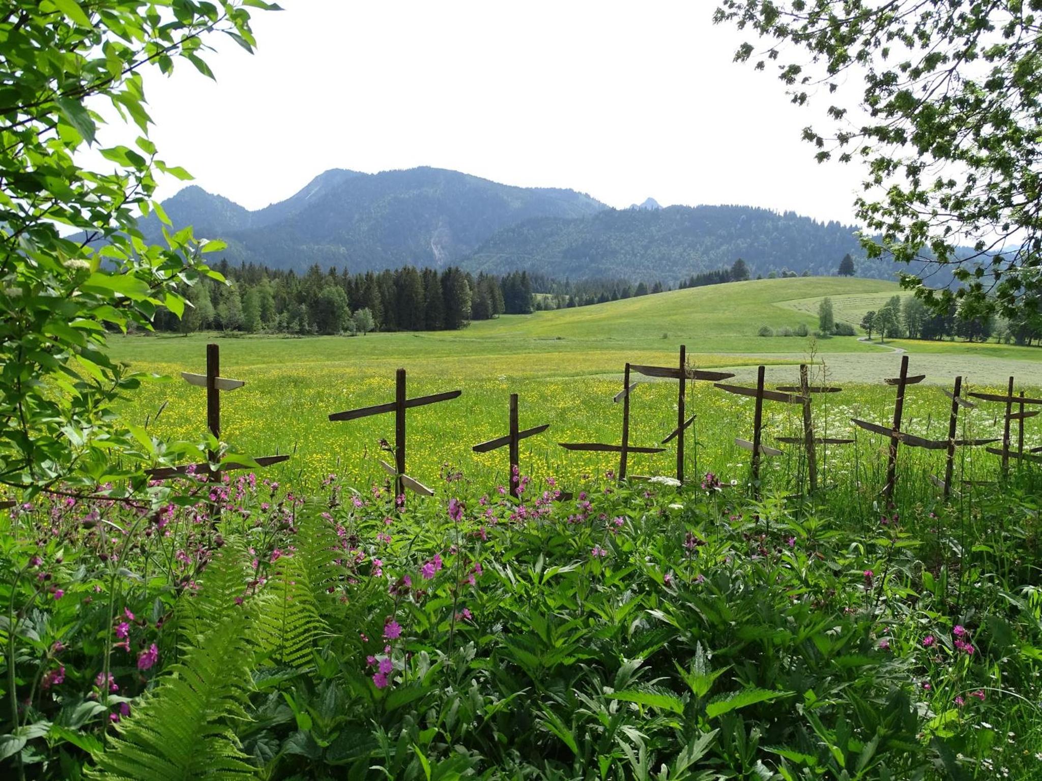 Landhaus Panorama