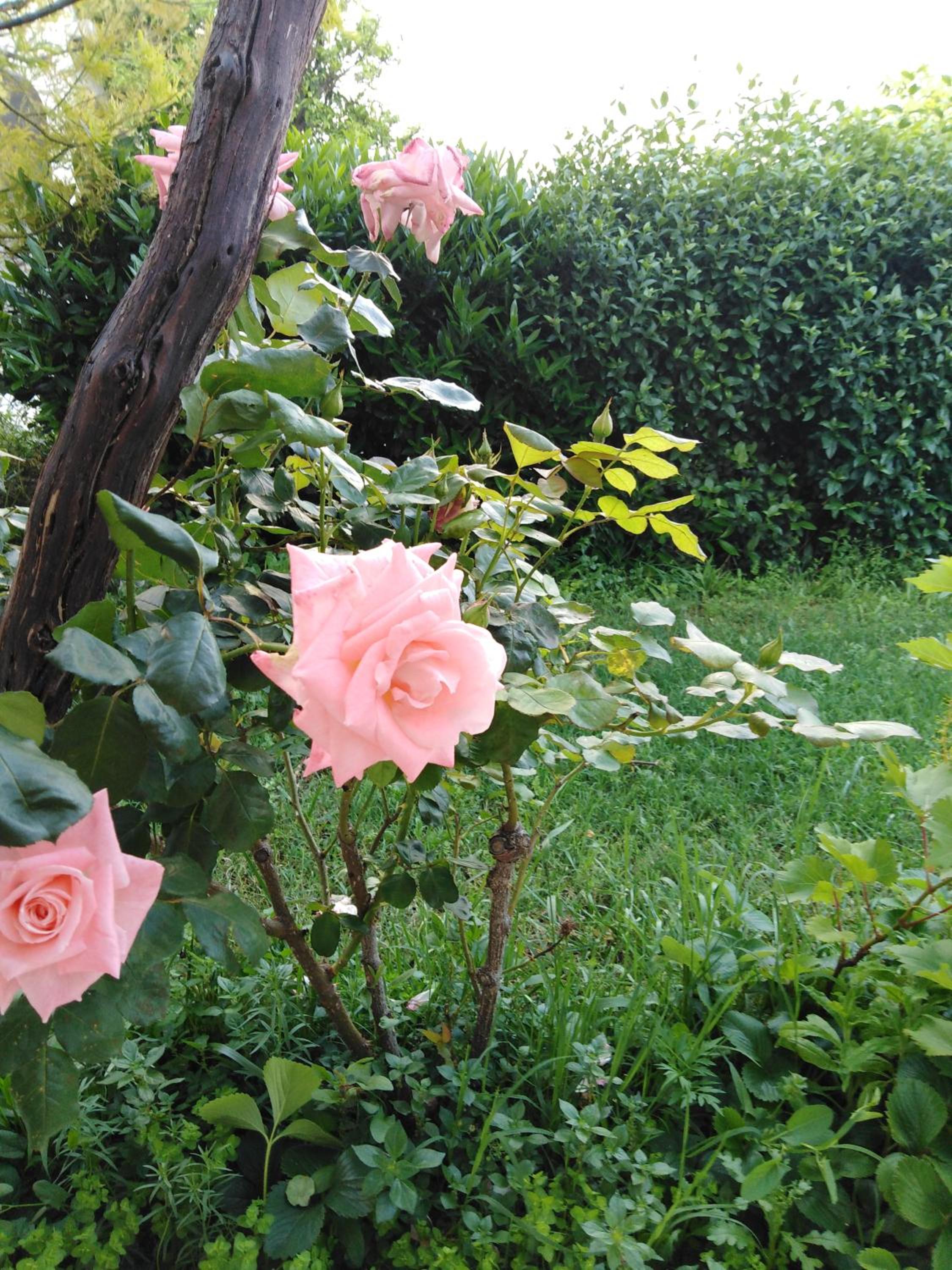 Photo 30
