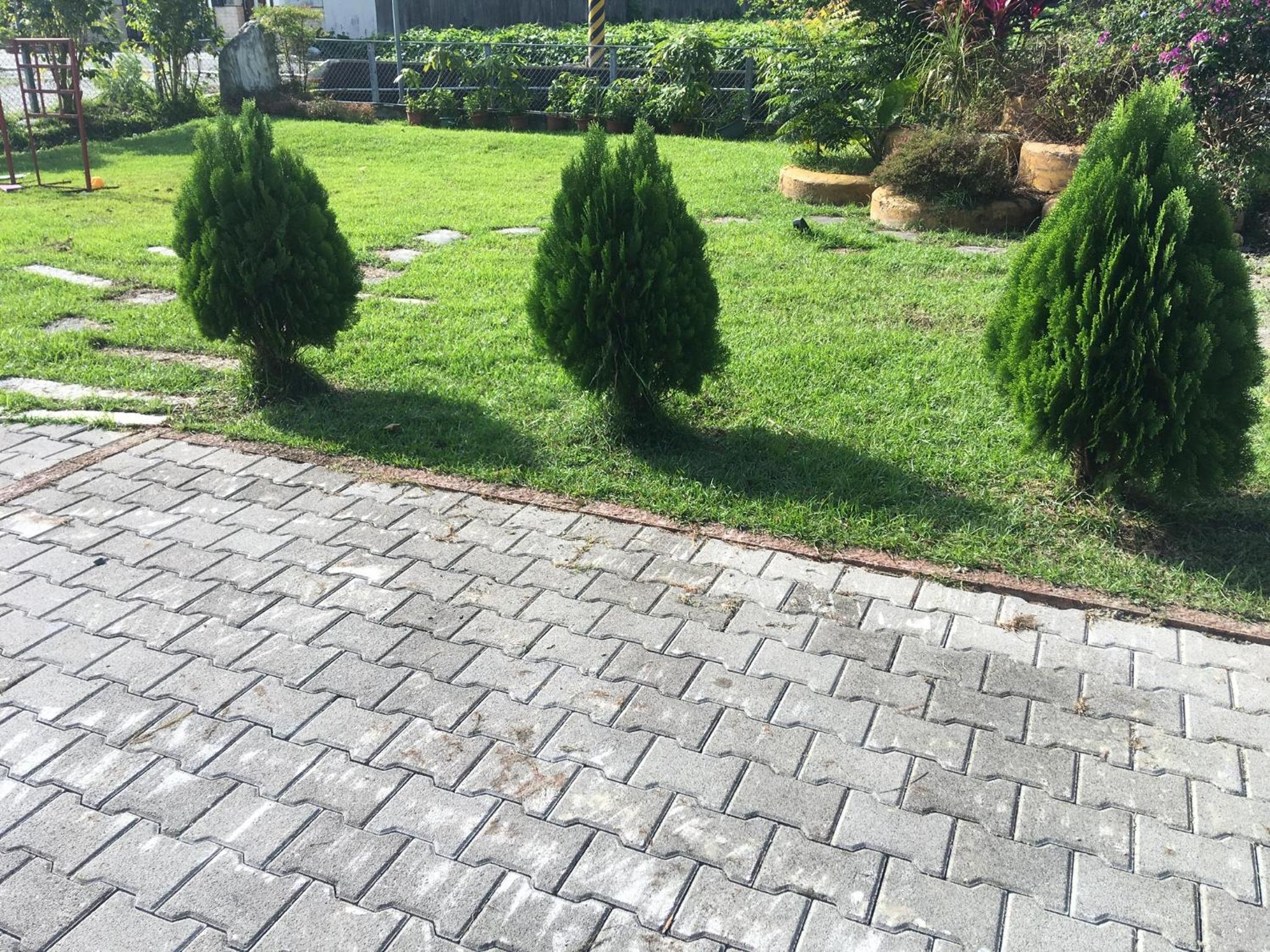 Bo Jue Farm Stay