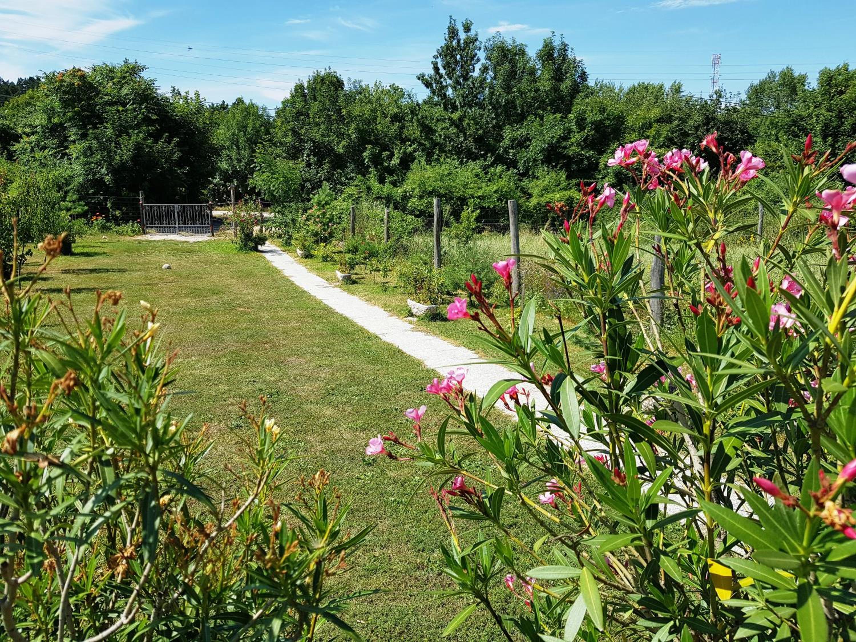 Photo 10